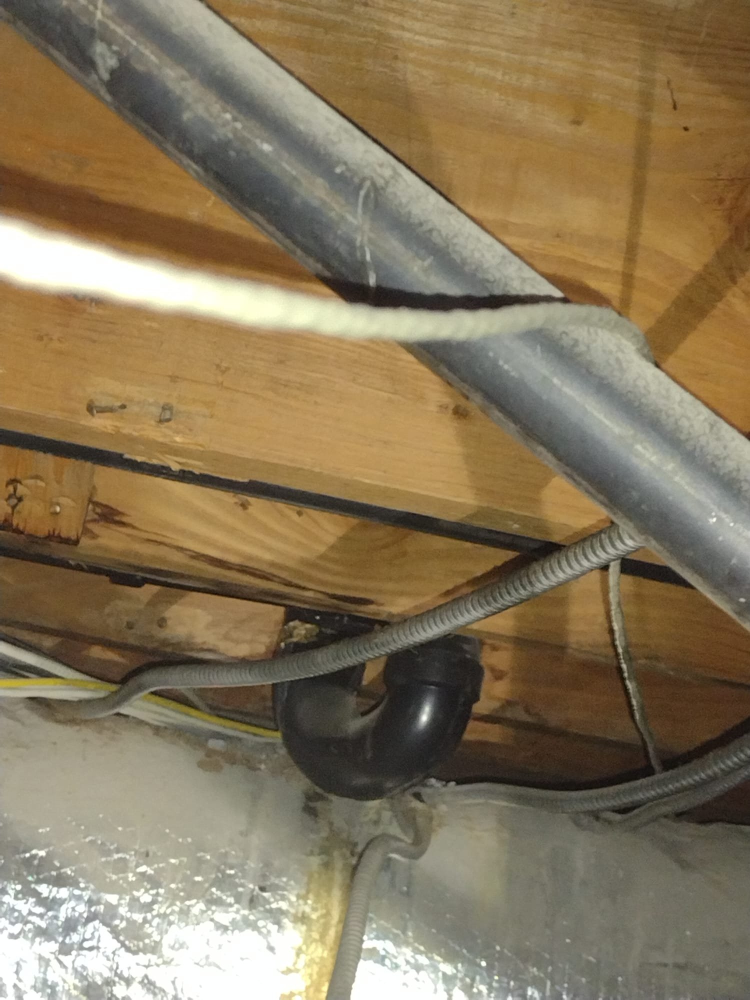 Image depicting commercial bathroom mold restoration. Focuses on troubleshooting and professional services to eliminate mold and restore a clean, safe environment. Ideal for commercial properties needing mold remediation.