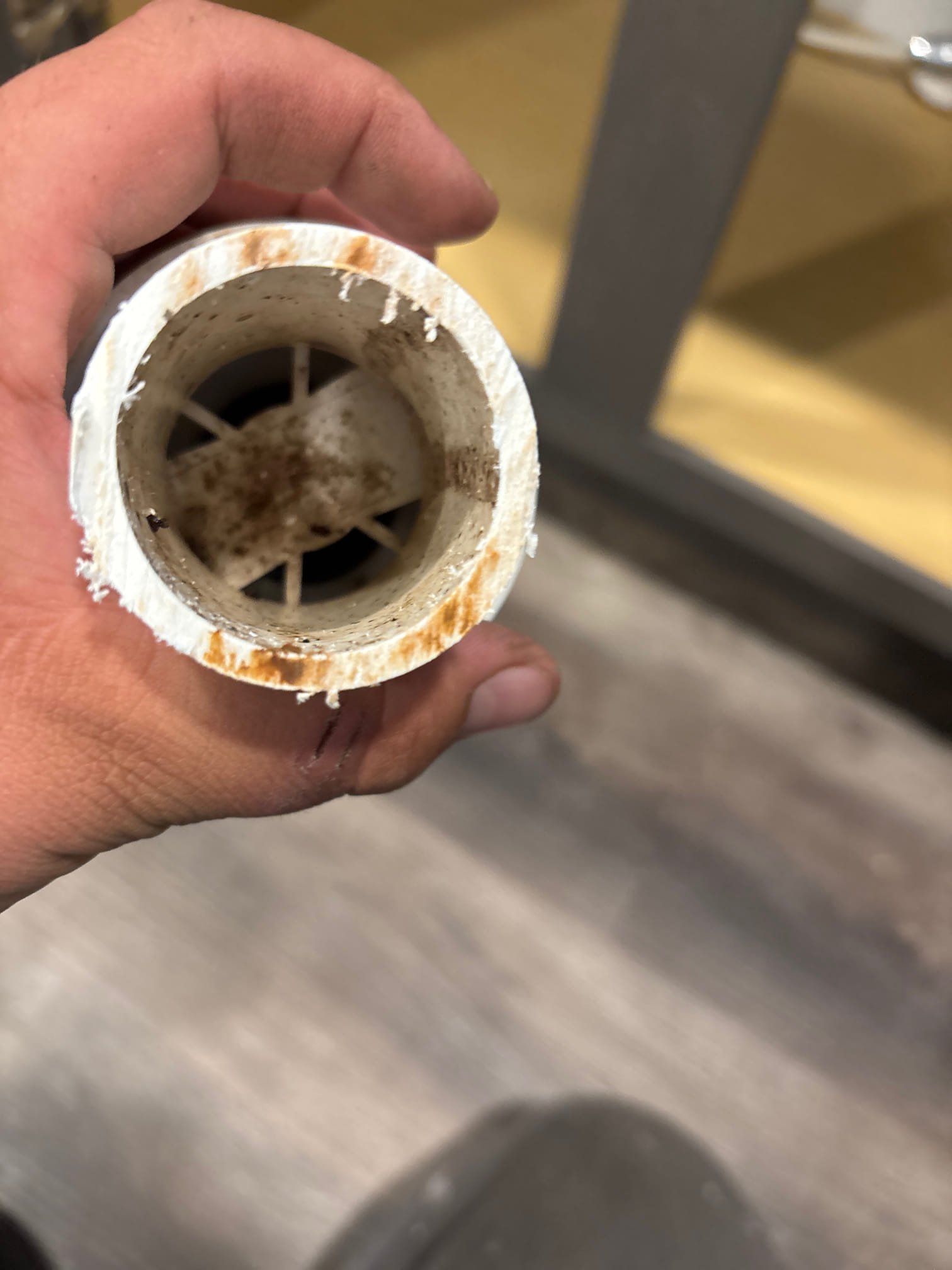 Image depicting affordable sewage backup cleanup in a flooded basement. Professionals are shown removing sewage and sanitizing the area, highlighting insured services for complete and safe restoration.