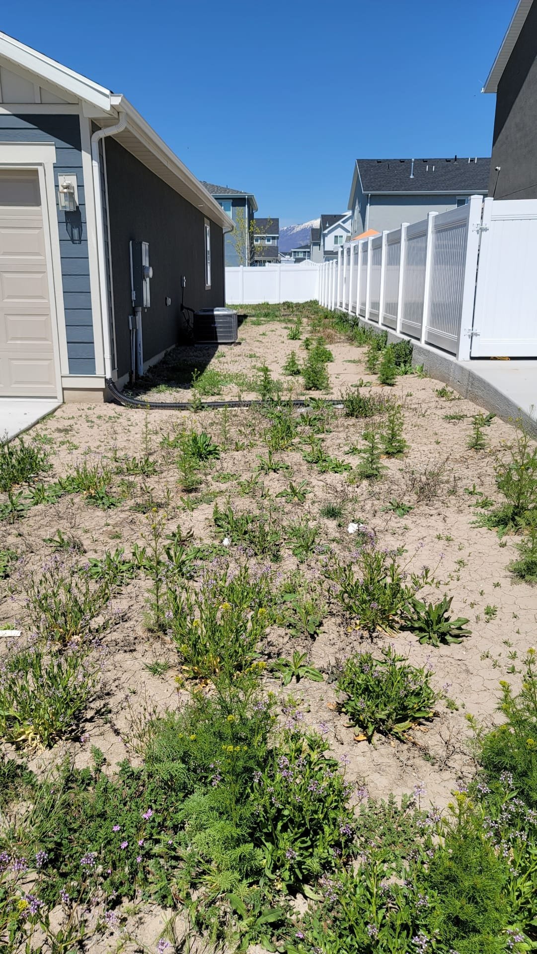 Image depicts Pleasant Grove, Utah home basement undergoing professional flood recovery. Emergency basement flooding service is addressing water damage, ensuring thorough repair and restoration for local homeowners.