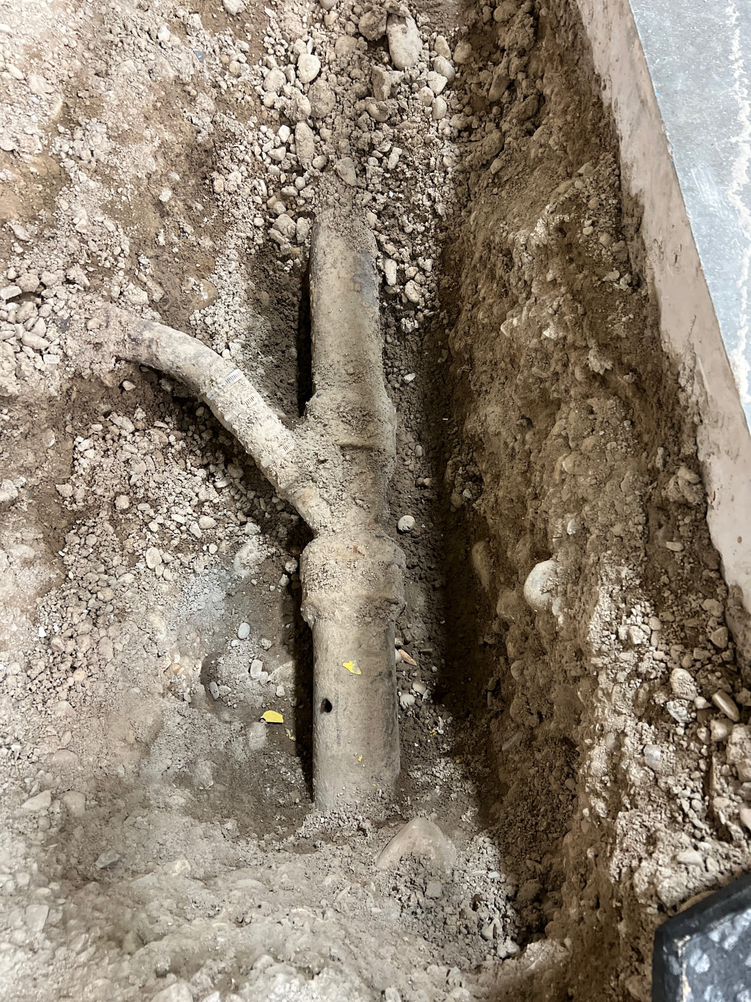 Image depicting signs of storm or disaster damage to a commercial property, indicating the need for professional cleanup services. Examples include water damage, structural issues, debris, and mold growth. Highlighting the importance of timely storm and disaster cleanup and maintenance for business continuity.