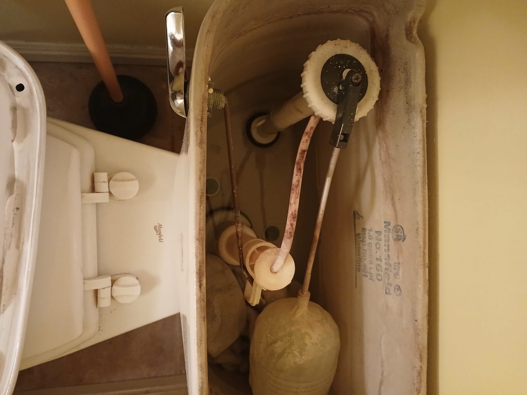 A pristine, newly installed public toilet stall showcases modern design and hygiene. Considerations for new toilet installation and toilet installation cost are reflected in the quality and accessibility features of this public restroom.