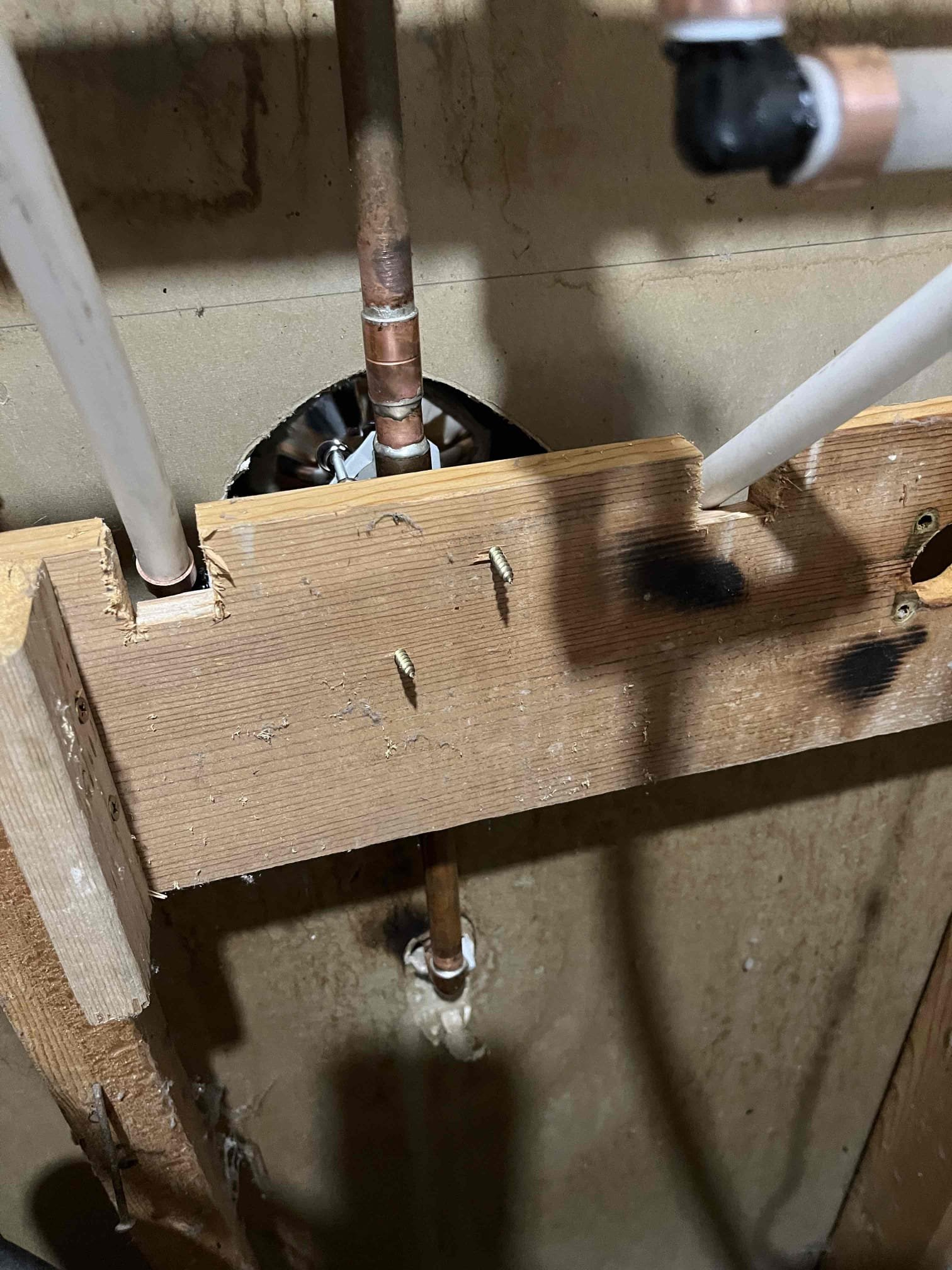 Breathe easier with room air cleaners featuring washable filters, promoting a healthier indoor environment. Just as sewage cleaning services near you ensure a clean and safe home after a backup, these air purifiers help eliminate airborne contaminants. Consider residential sewage backup cleaning pricing for comprehensive home protection and pair it with a quality air purifier for ongoing air quality management.