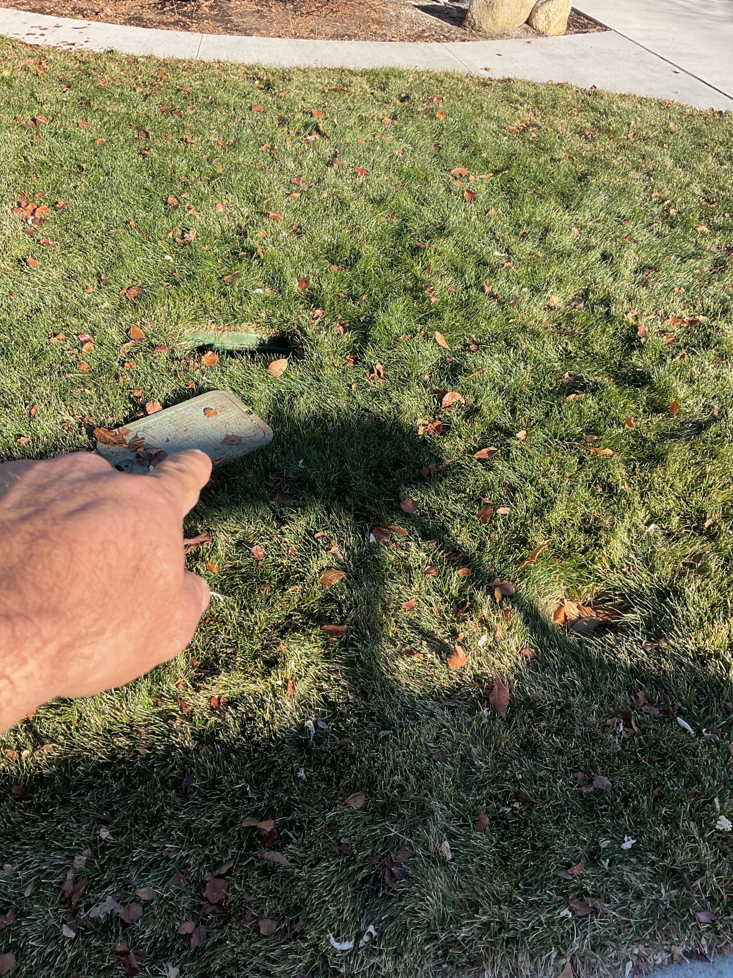 Image depicting signs of commercial drywall water damage, highlighting the need for professional remediation services. Learn about common indicators and factors influencing commercial drywall water damage remediation cost.