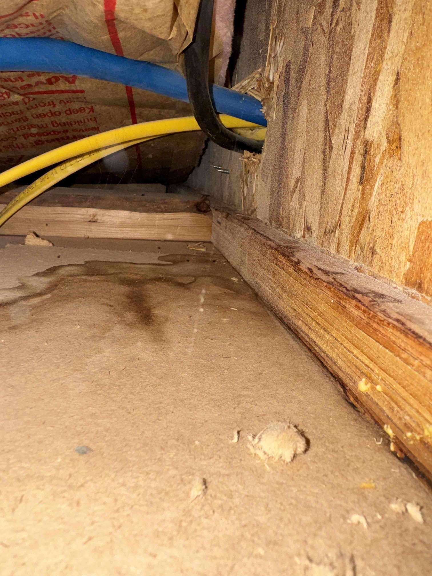 Conceptual image representing fire and water mitigation, alluding to the complex systems involved, such as those depicted in a 'Nest 4 wire diagram,' and the diagnostic processes necessary in 'fire restoration diagnosis.' The image symbolizes the blend of technology and expertise required to recover from fire and water damage, emphasizing safety and restoration.