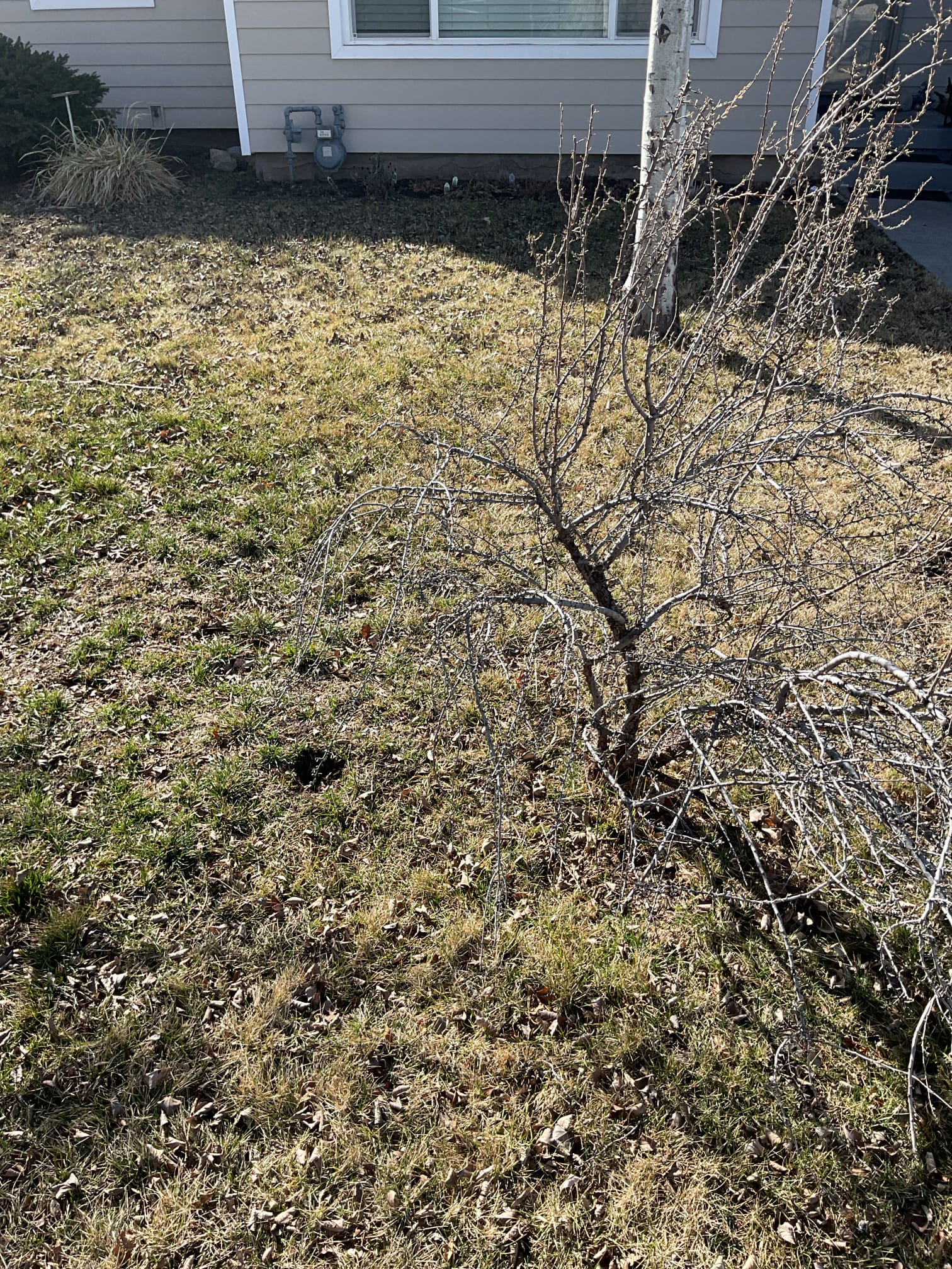 Dealing with a musty basement in Taylorsville, Utah? This image highlights solutions for improving air quality, potentially involving anode rod removal in your Rheem water heater to prevent odors, and affordable methods for storm/disaster odor removal in basements. Breathe easier in your Utah home!