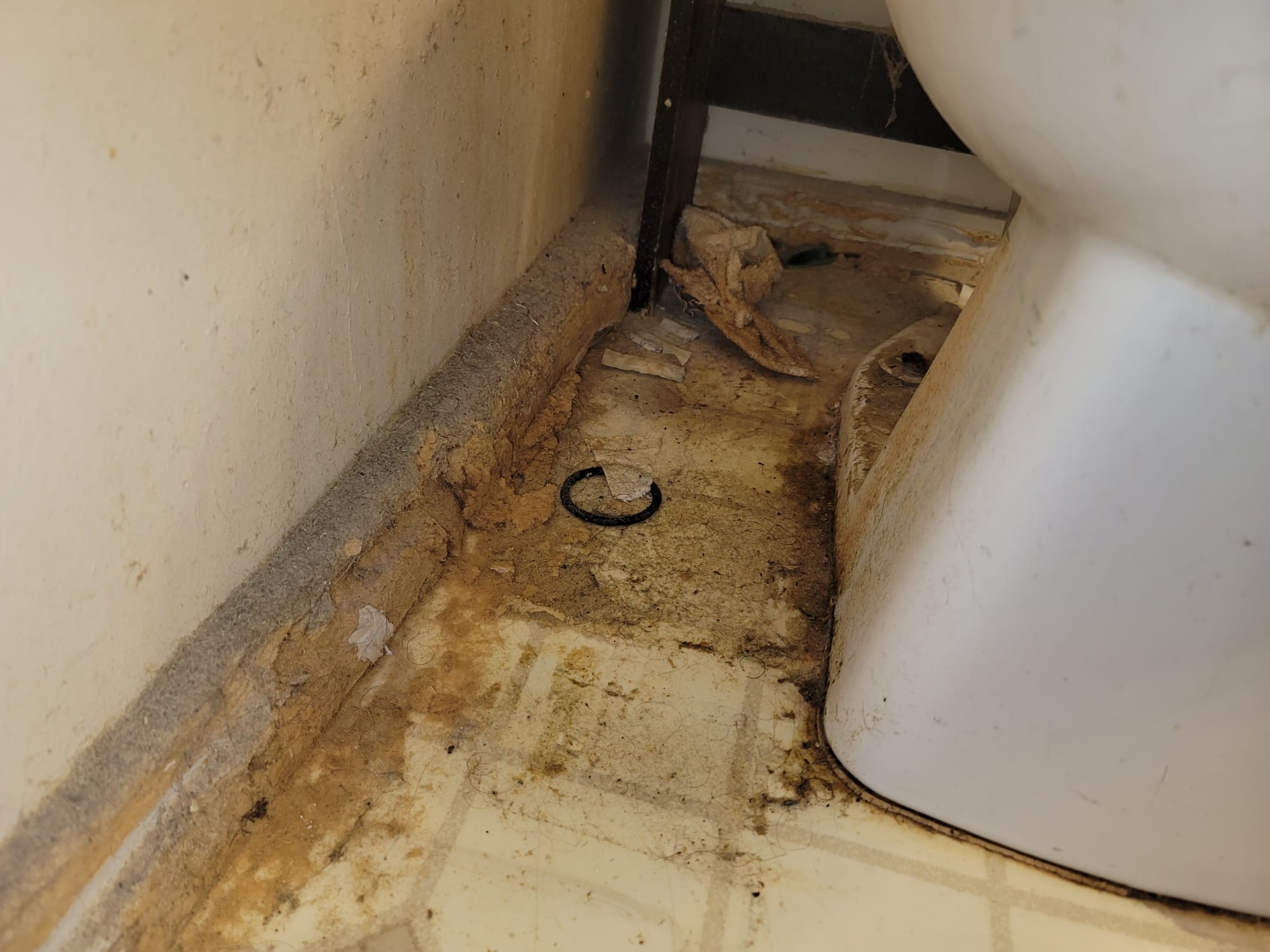 Image depicting bathroom mold damage, likely near a bathtub, related to the cost of bathroom mold remediation. Emphasizes the importance of bathroom mold damage diagnosis for accurate pricing and safe removal.