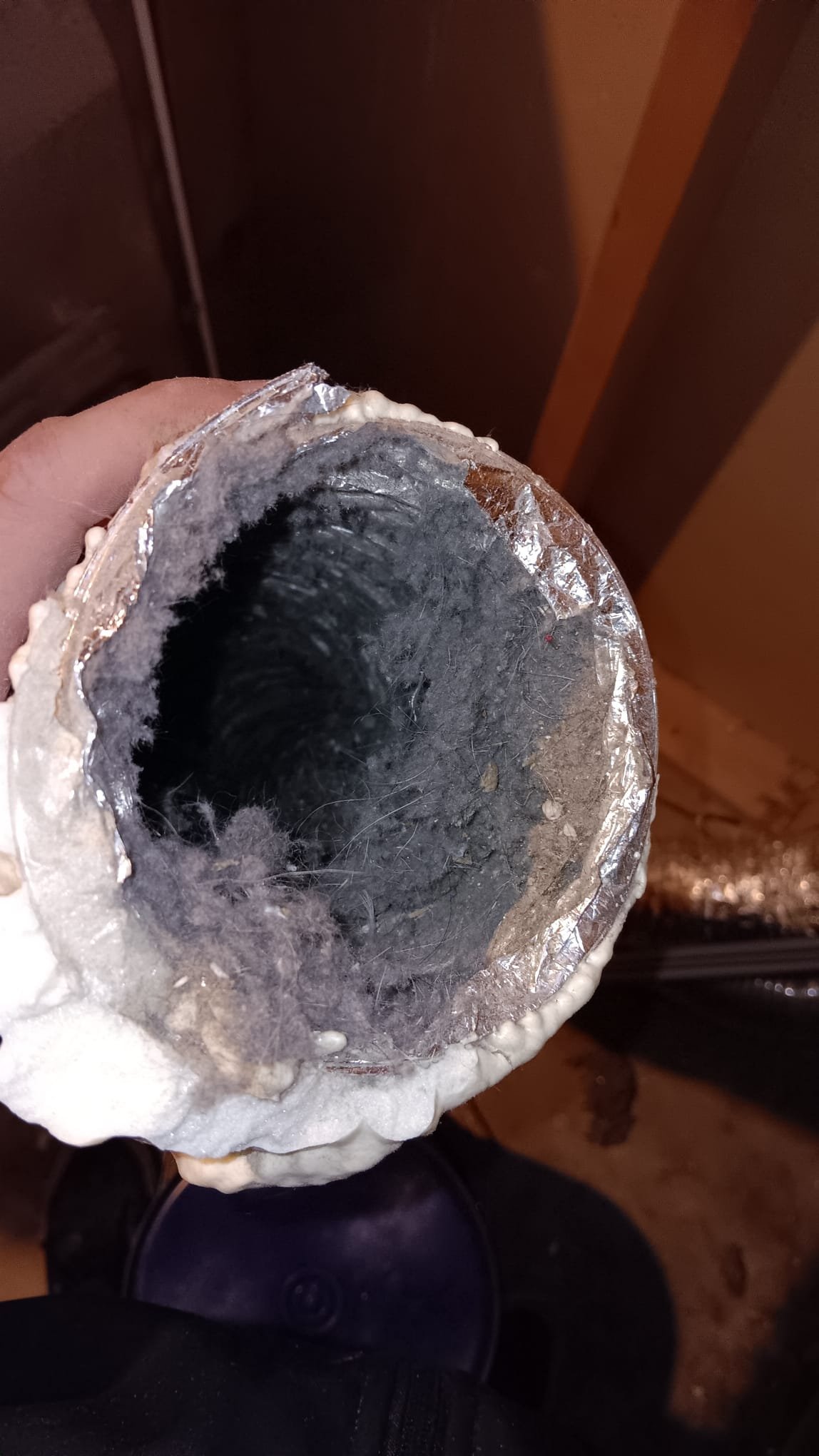 Image depicting drywall water damage cleaning and maintenance, highlighting the importance of drain cleaning to prevent future water damage. Professional drywall water damage cleaning service ensures proper restoration and prevents mold growth.