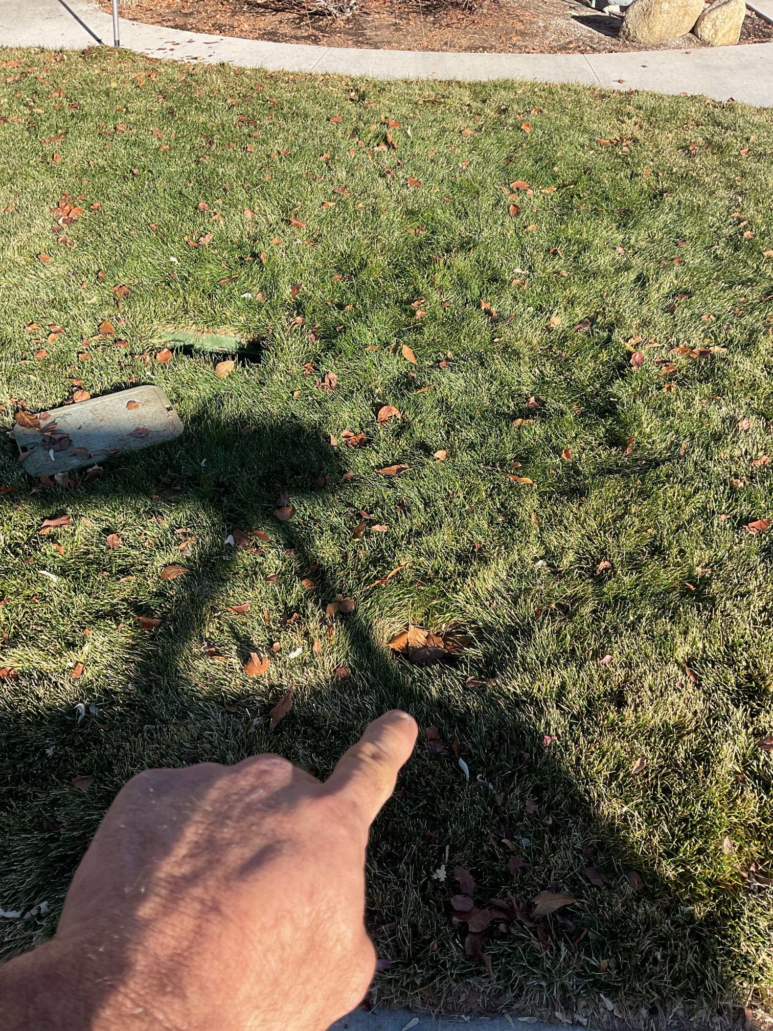 Image depicting same-day commercial drywall water damage restoration, highlighting the urgency of addressing water pressure issues in a house to prevent further damage. Emergency 24-hour service ensures swift action to mitigate water damage and restore your commercial property.