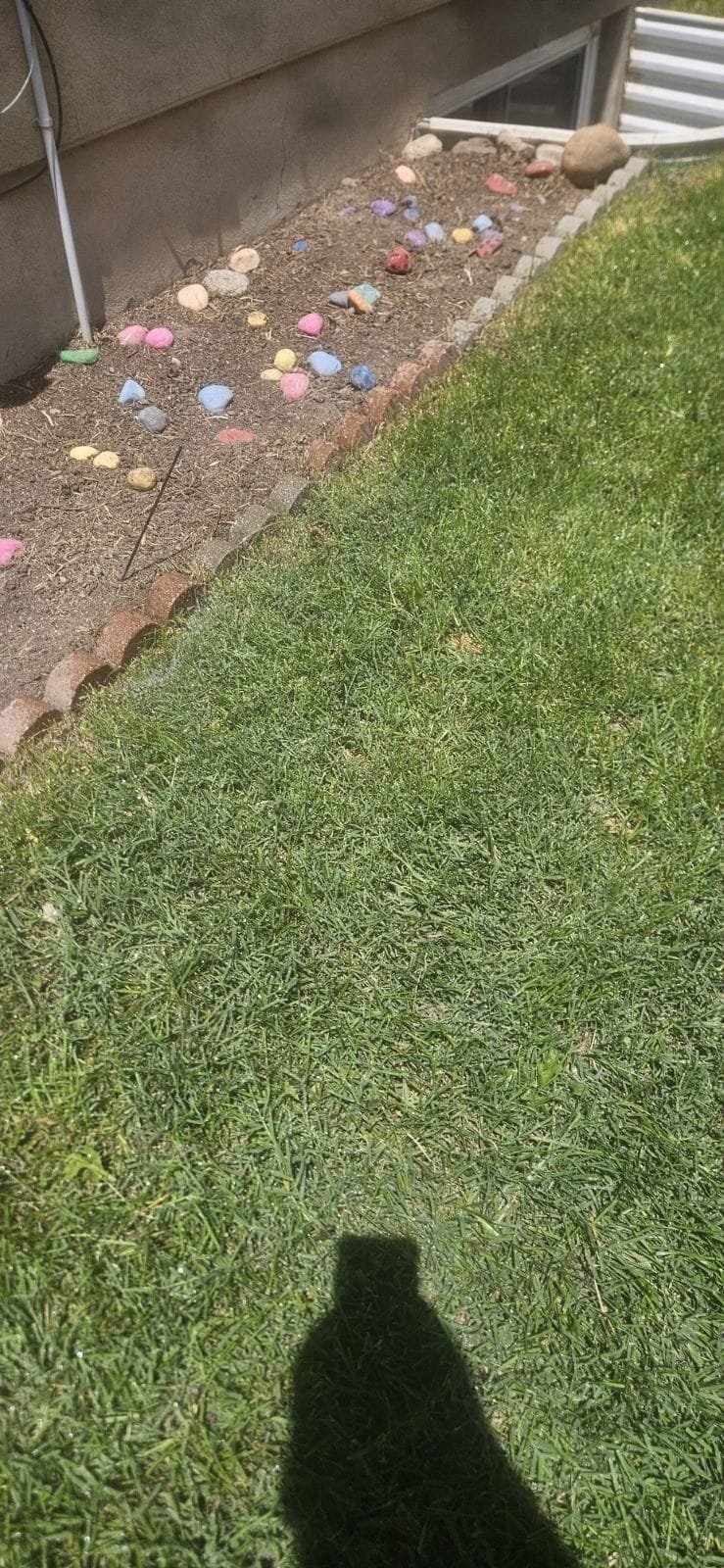 Mold growth around an air vent in a ceiling, indicating potential water damage. A professional ceiling water damage repair expert can assess and fix the issue, often involving a ceiling patch to restore the surface.