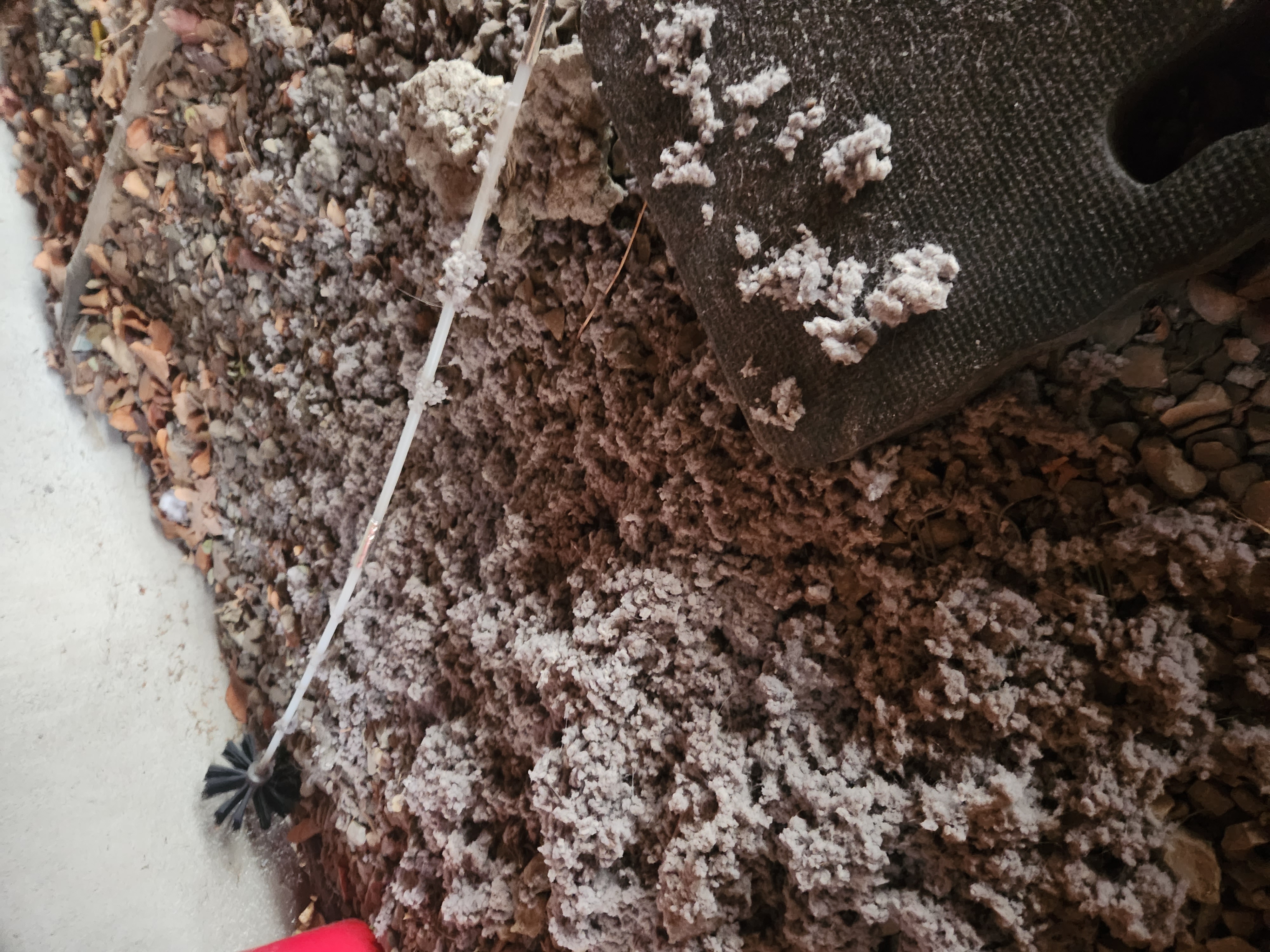 Image related to local drain cleaning services, possibly showing a clogged storm drain being cleared. Could represent affordable $99 drain cleaning options available nearby.