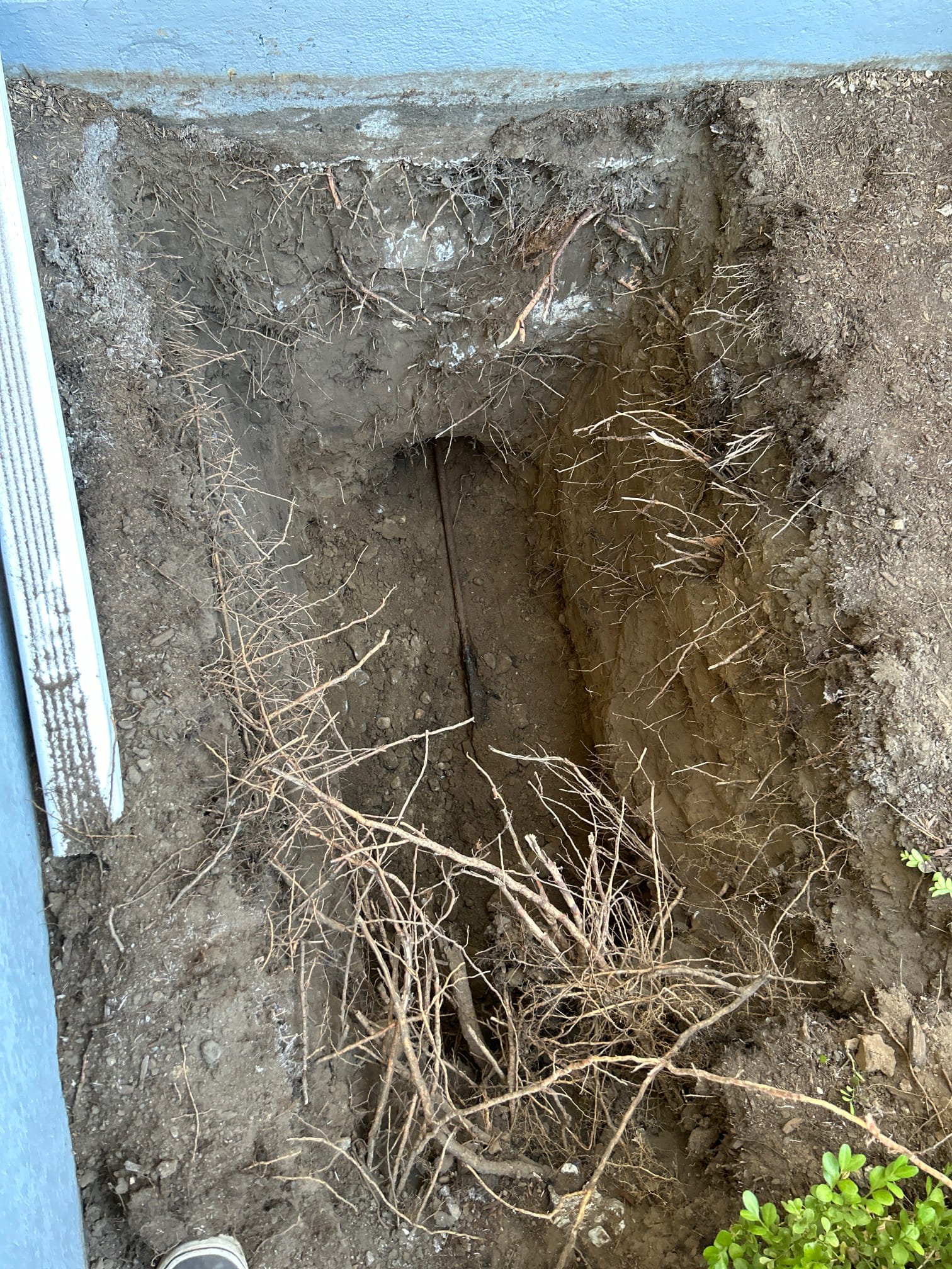 Payson, Utah basement ceiling showing water damage, likely from well water issues. Call us for licensed cleanup after changing your well water filter. We also provide regular maintenance for basement ceiling water damage cleanup to prevent future problems in Payson.