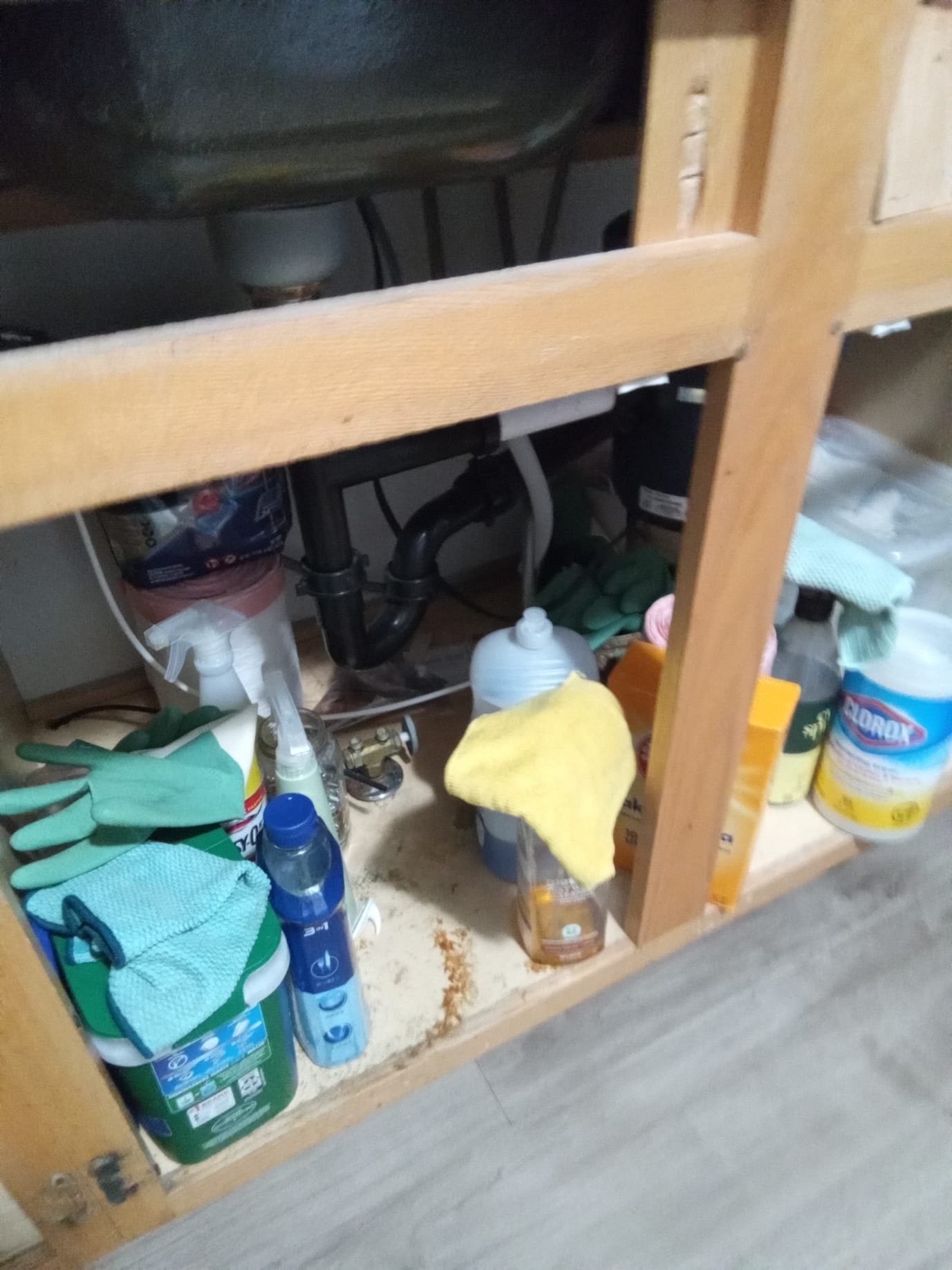 Image related to basement mold cleanup diagnosis, showing the importance of using an air cleaner for basement air quality after affordable basement mold cleanup services. Highlights the connection between mold inspection, remediation, and maintaining a healthy home environment.