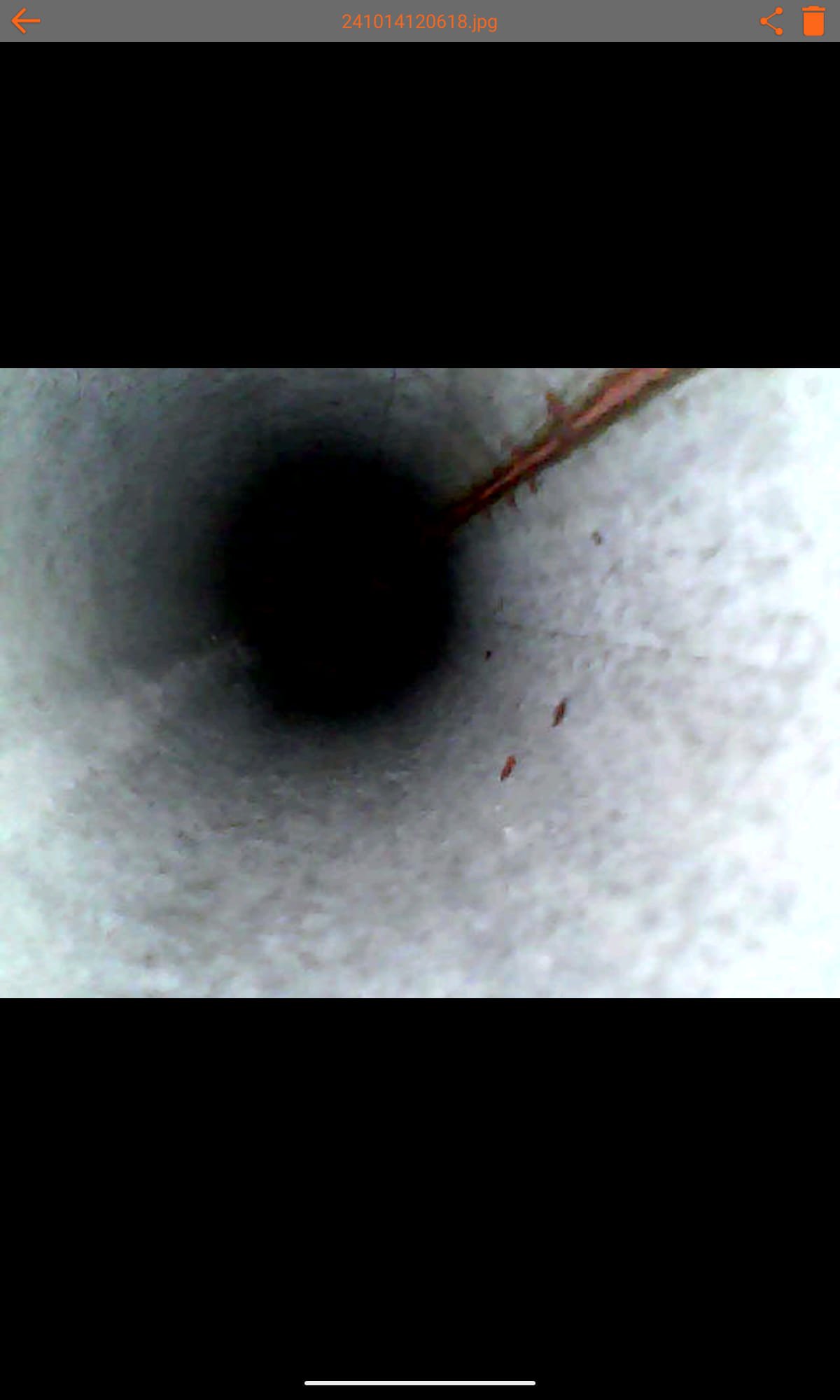 Image highlighting the best air purifier for mold removal, an essential tool for effective mold recovery. Consider nearby salt delivery services to supplement air purification. Addressing mold issues early can significantly reduce your overall mold recovery cost.