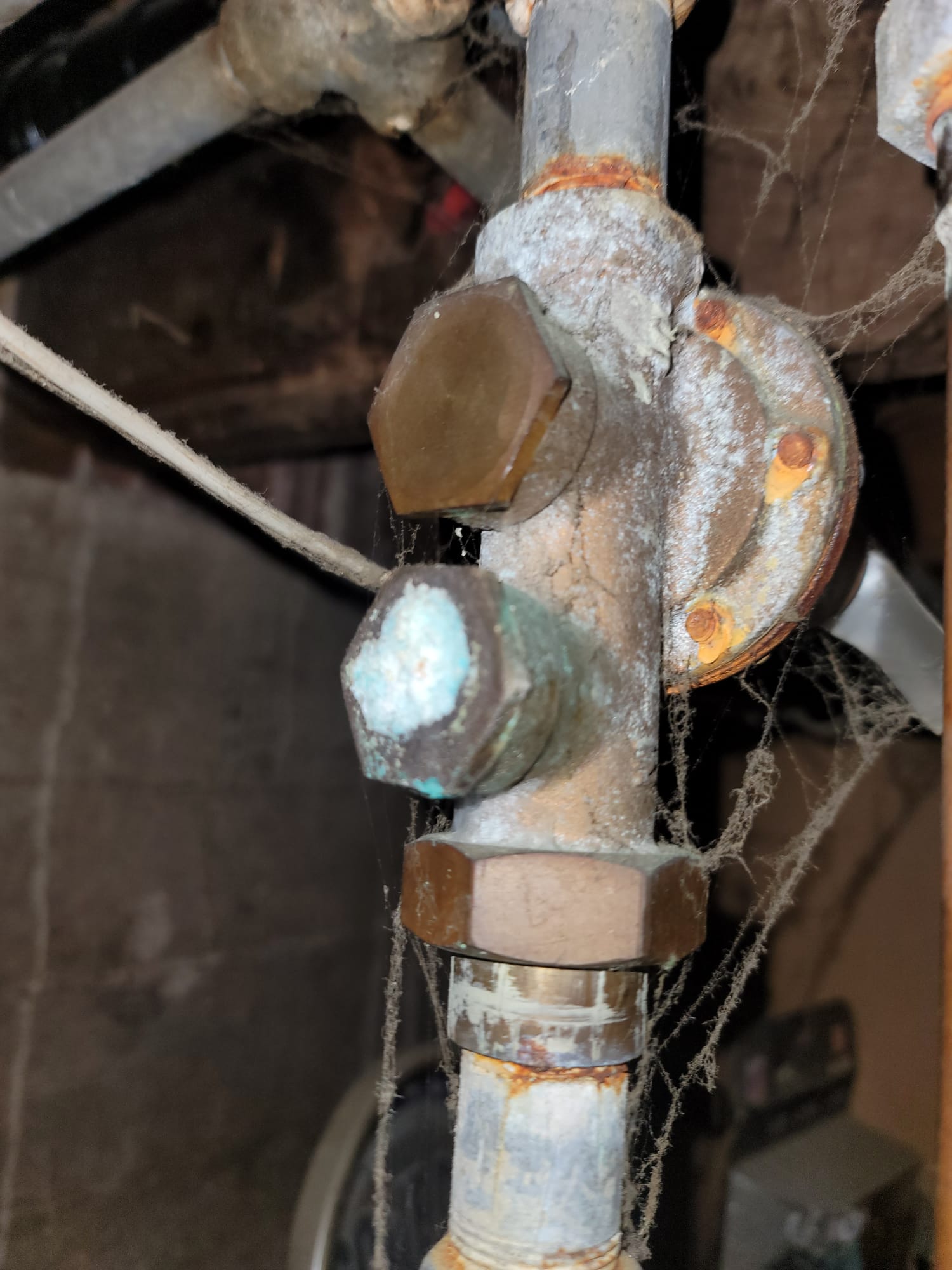 Image showcasing toilet seat parts replacement, often needed alongside universal toilet tank replacement or complete toilet guts replacement, highlighting DIY home repair.