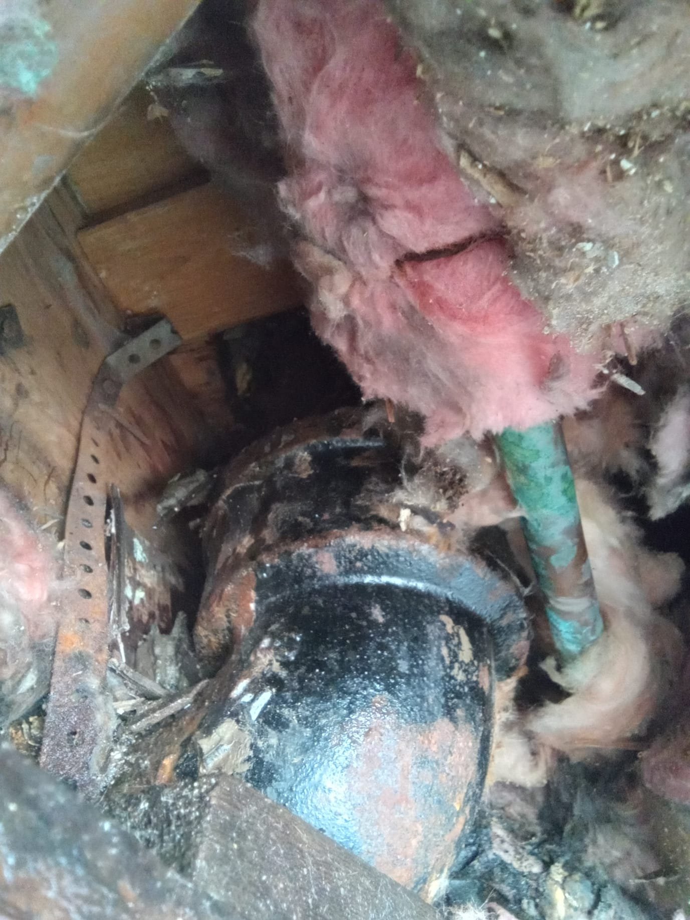 Image related to unclogging a dishwasher, potentially showing techniques or tools similar to those used for waste disposal unit repair and unclogging a kitchen sink with a disposal. May depict a blocked drain, food debris, or plumbing tools.