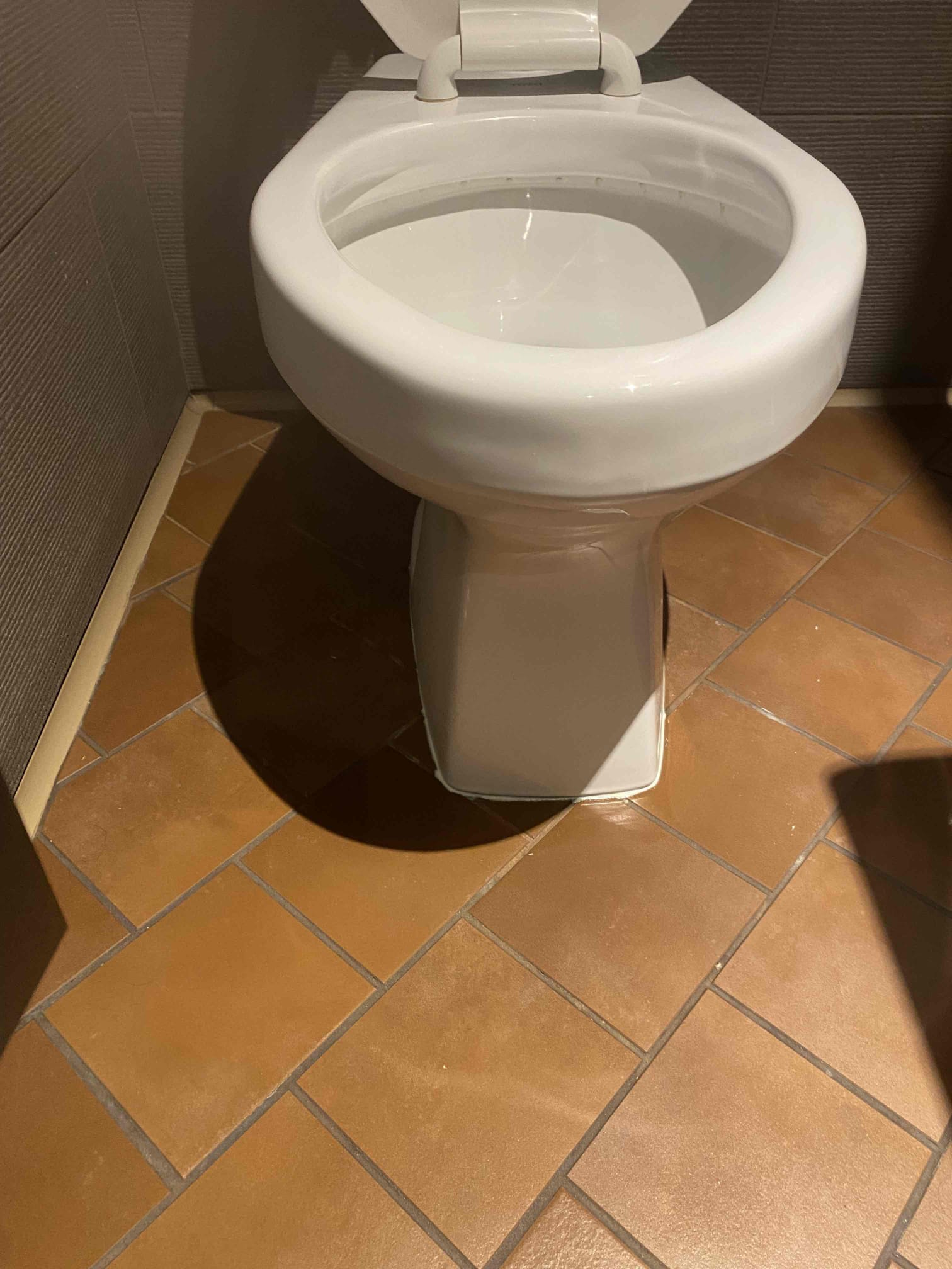 Image showcasing the best mold and mildew cleaner for bathrooms, ideal for bathtubs and sinks. Effectively removes tough mold and mildew stains, acting as a powerful bathroom mold cleaner.