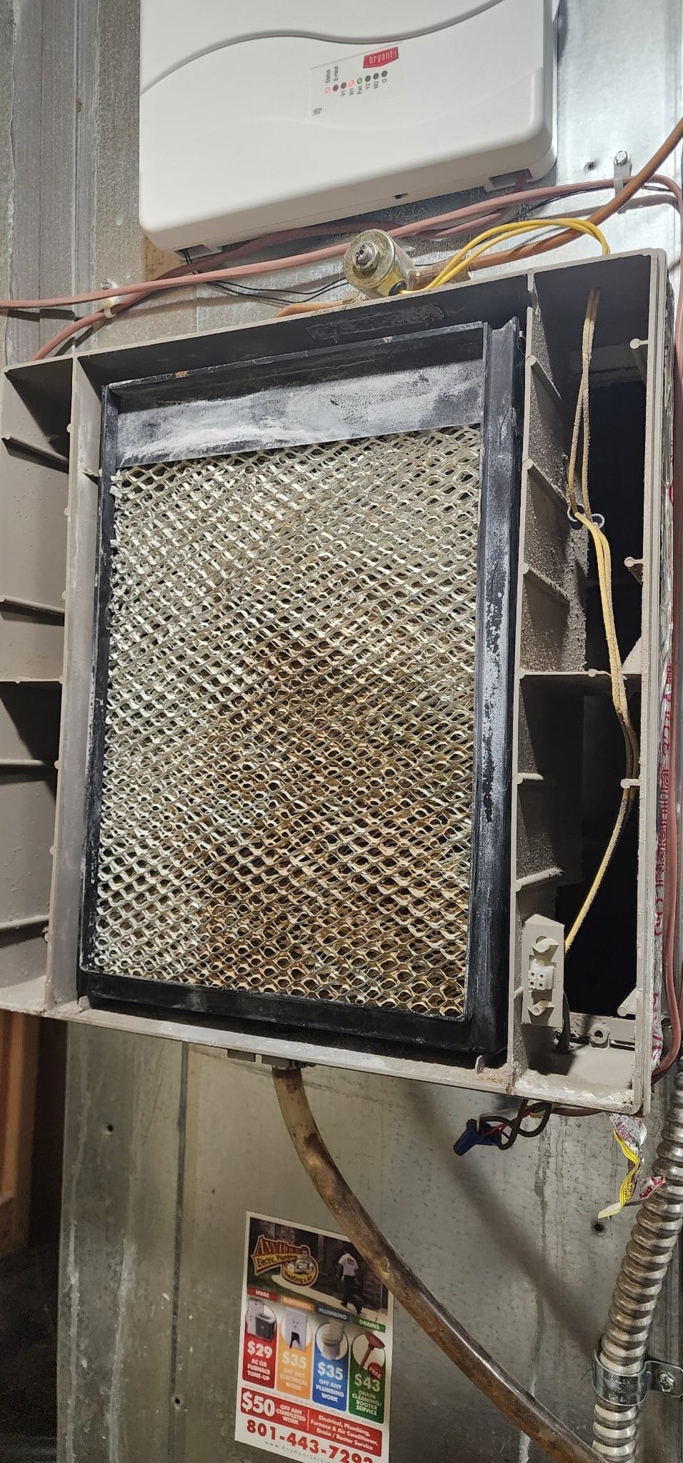 Breathe cleaner air with our air purifier, designed to eliminate dust, similar to how a hair and grease remover eliminates grime. Experience professional-grade air purification comparable to storm and disaster odor removal, ensuring a fresh and healthy environment.