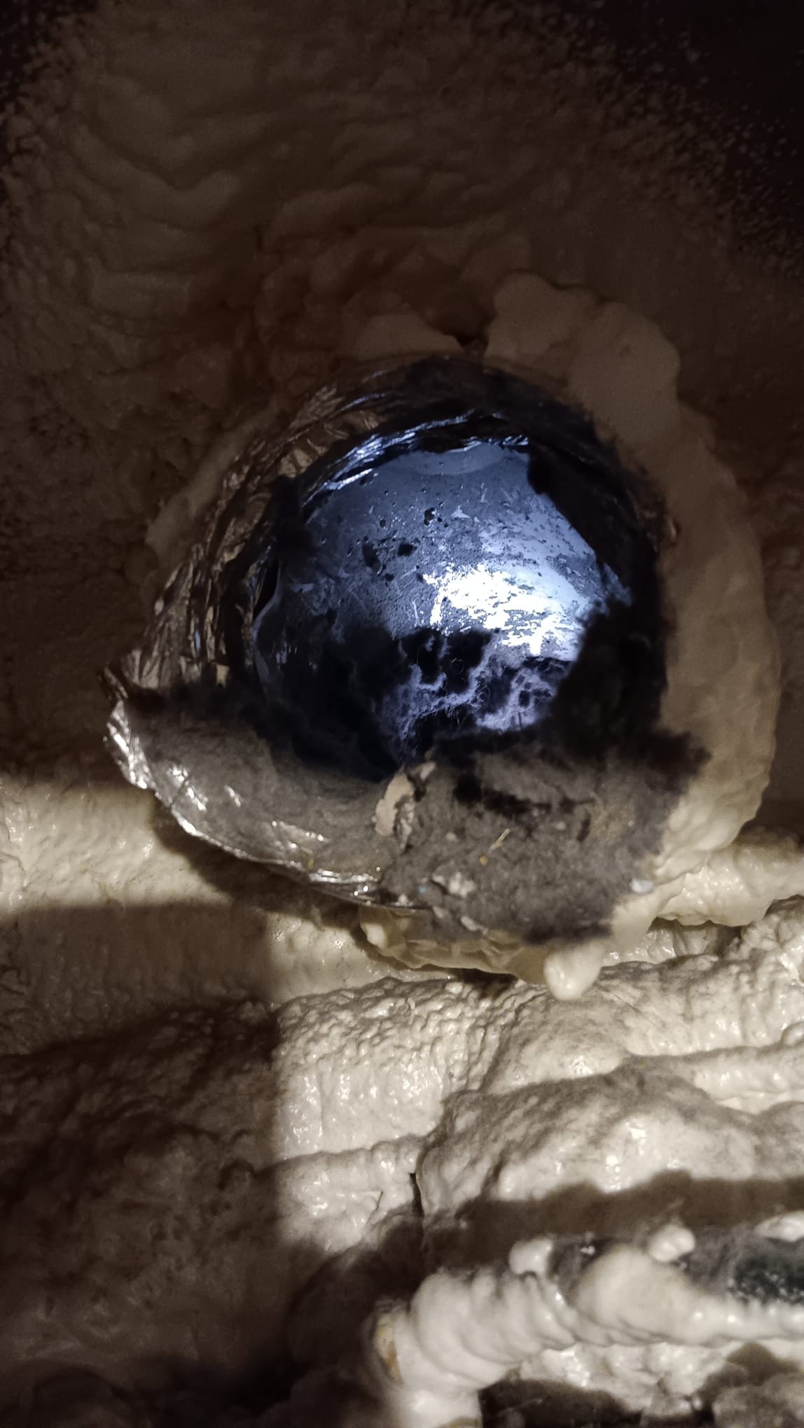 Clothes smell like mildew after drying? Musty laundry odors can stem from dirty washing machines and poor ventilation. Consider professional dry cleaning for persistent smells. Ensure your home's ventilation is adequate and clean grease traps regularly to prevent moisture buildup and related odors that can affect fabric freshness.