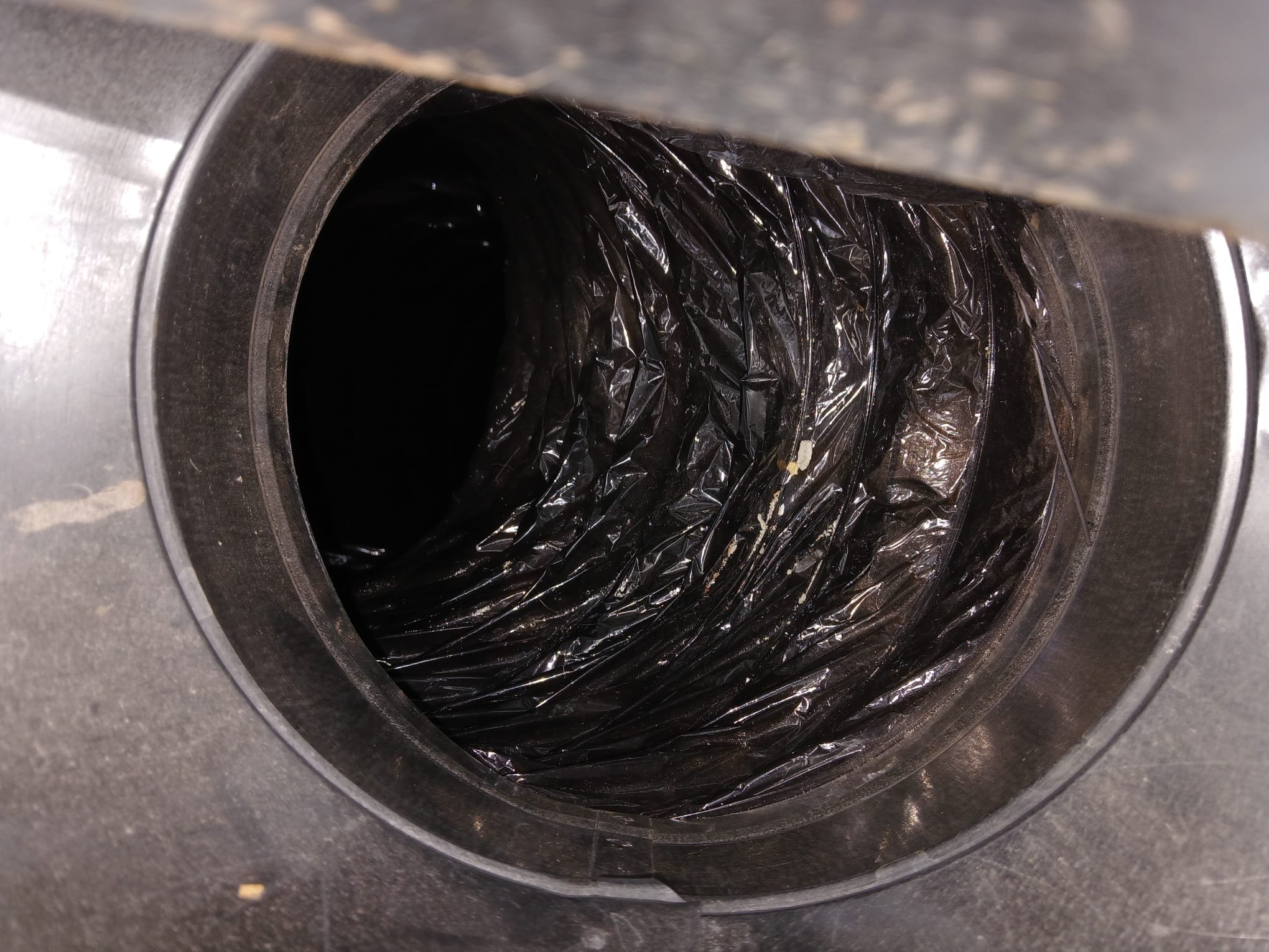 Image depicts mold remediation strategies. Borax is shown as a cleaning agent to kill mold, alongside vent cleaning tools and baking soda, highlighting effective methods for mold removal and prevention in ventilation systems.