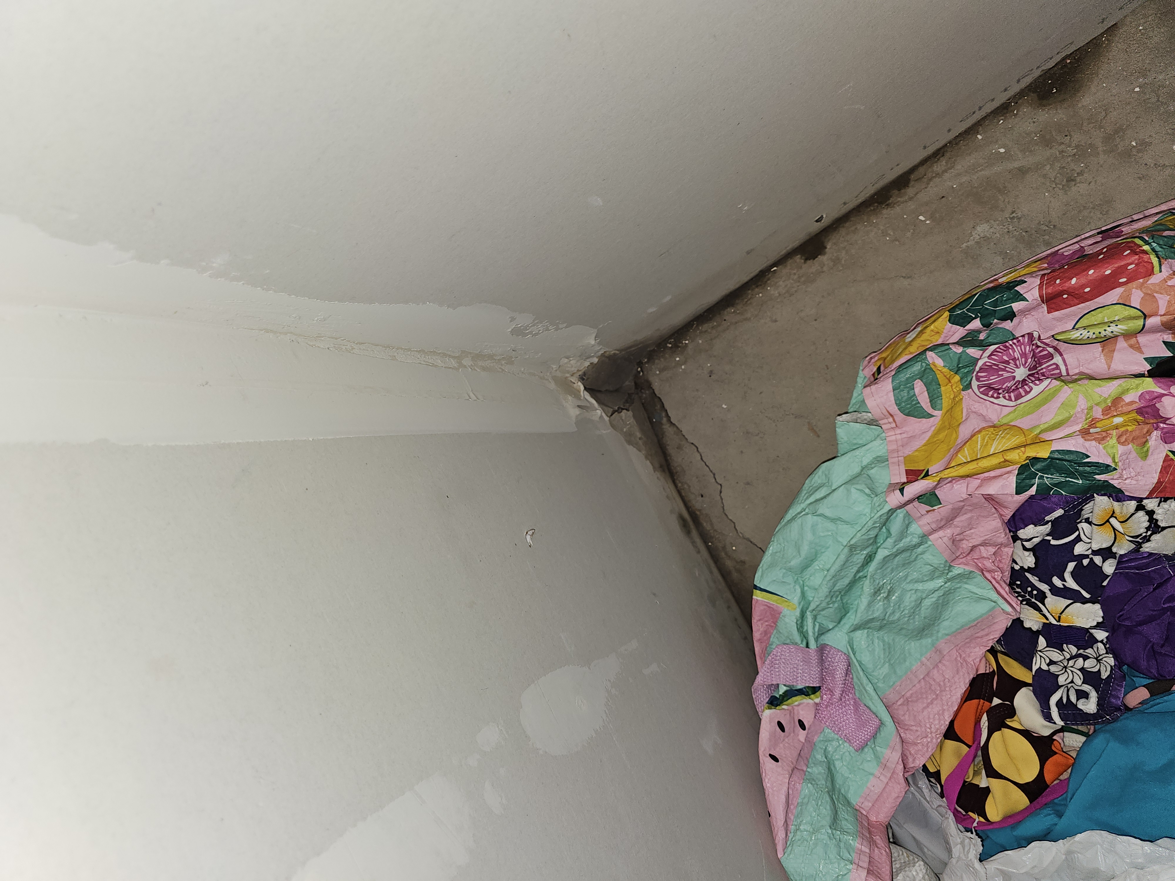 Image depicting basement drywall water damage, highlighting potential issues with the basement P-trap and the need for professional basement drywall water damage service. Focus on identifying and troubleshooting moisture problems to prevent further structural damage.