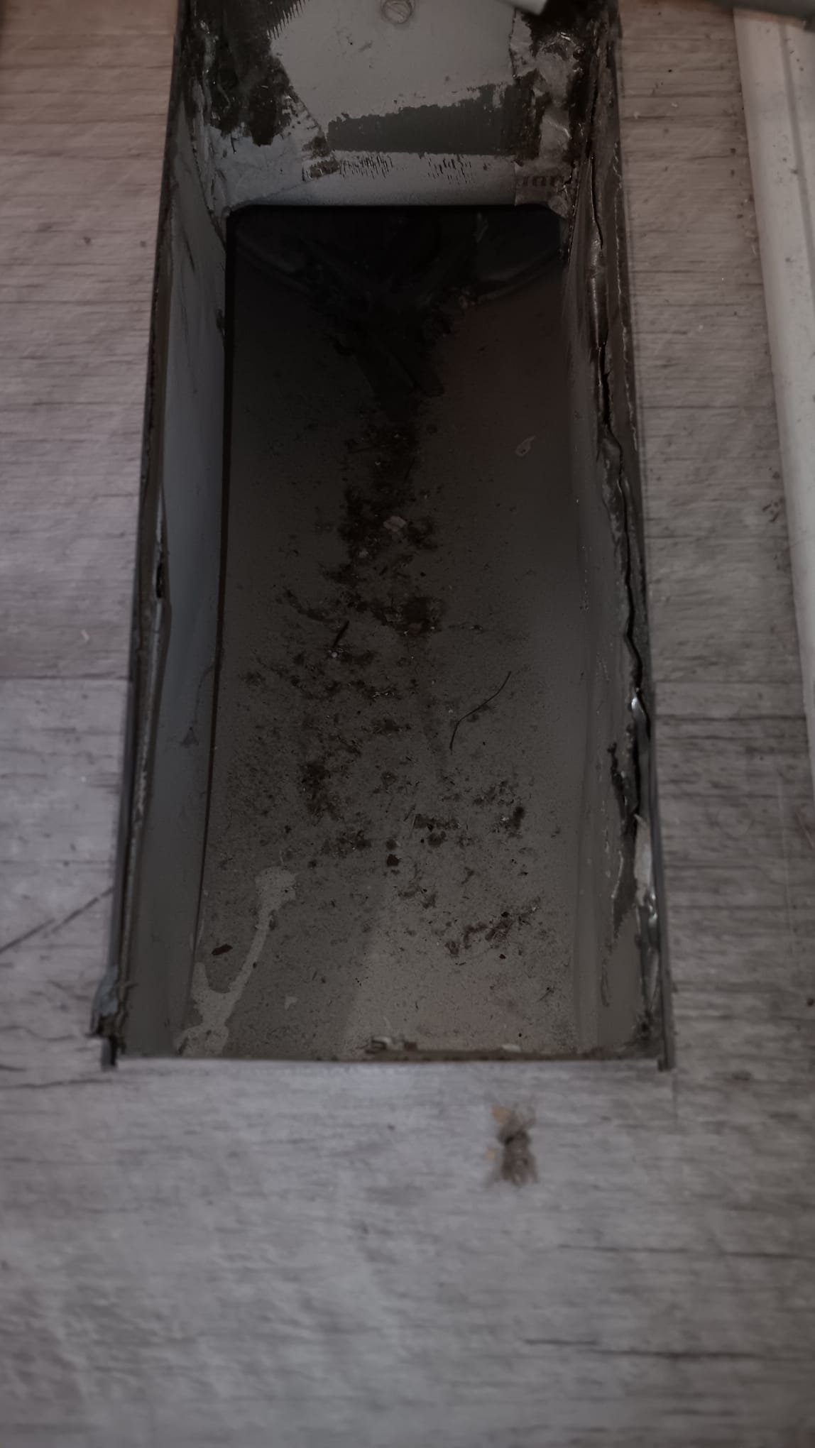 Can an air purifier remove odors? This image explores air purification's ability to eliminate smells, similar to how a snake clog remover clears blockages. Discover if an air purifier can effectively remove unwanted smells from your home, creating a fresher, cleaner environment.