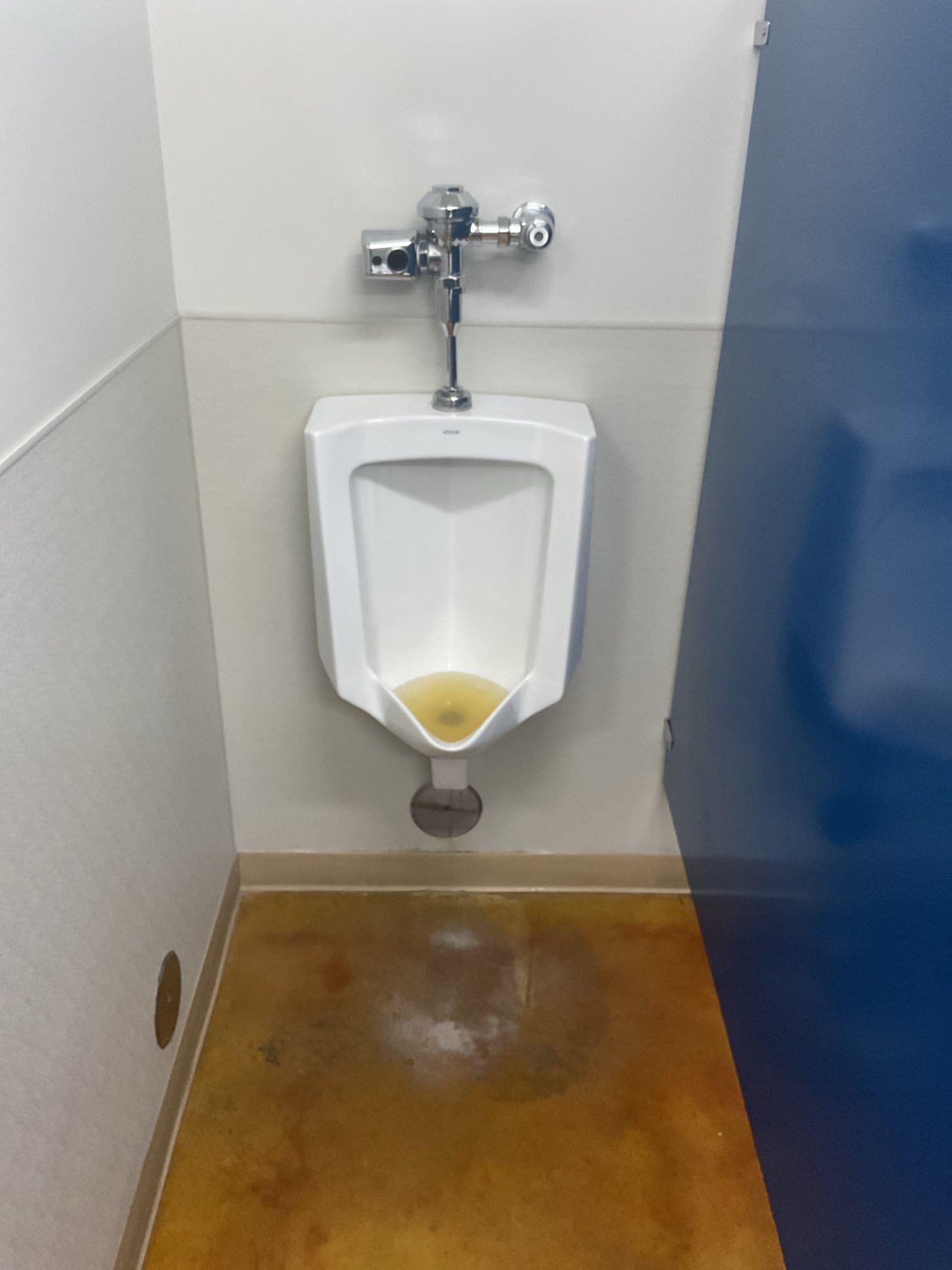 Durable commercial bathroom partition hardware is essential for maintaining restroom privacy and preventing costly mold damage. Proper installation and maintenance of all commercial bathroom hardware components contribute to a sanitary and long-lasting environment.