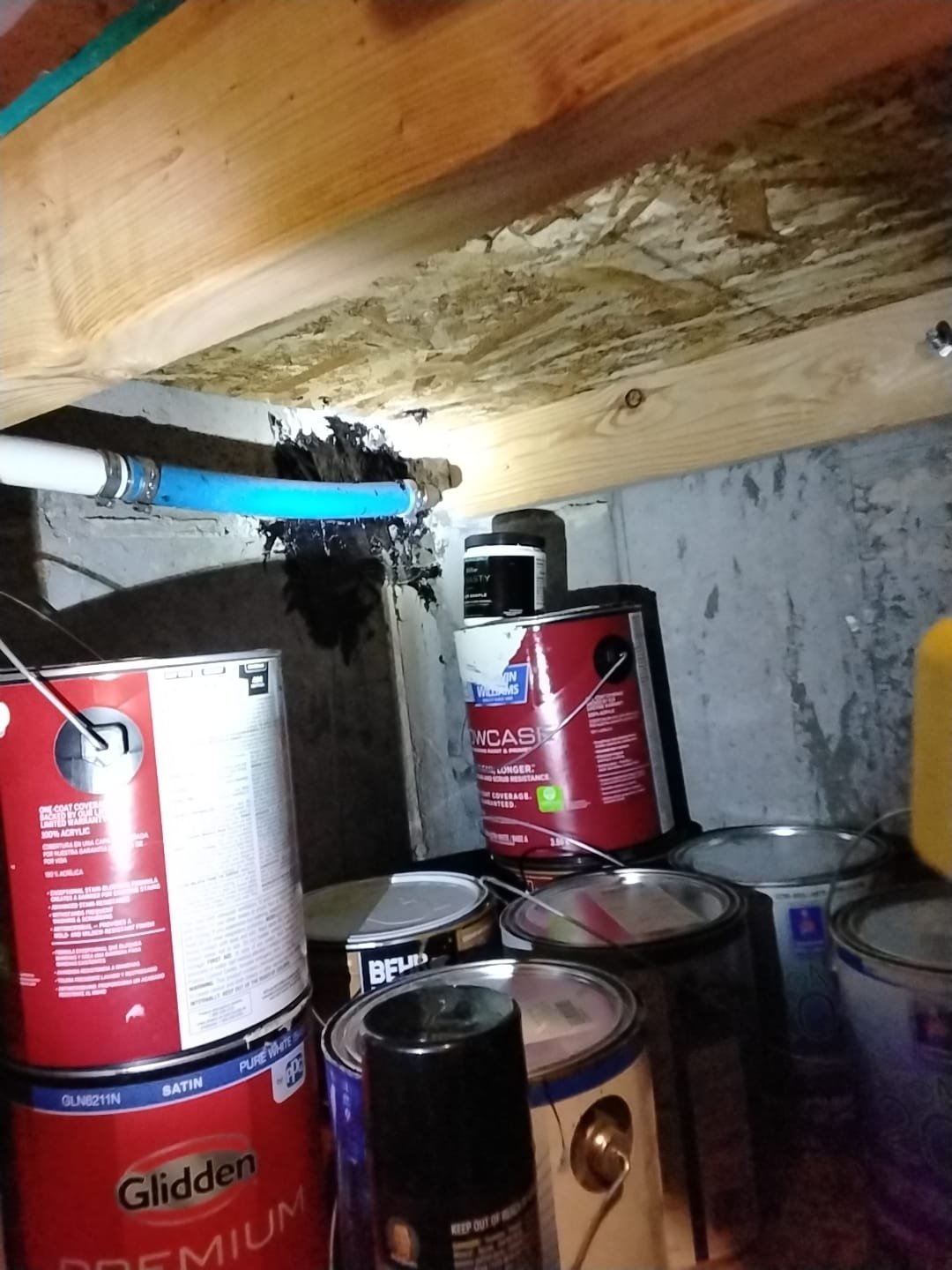 Image depicting professional basement flood recovery services. Emergency response to basement flooding, including water extraction and repair to restore your basement after water damage.