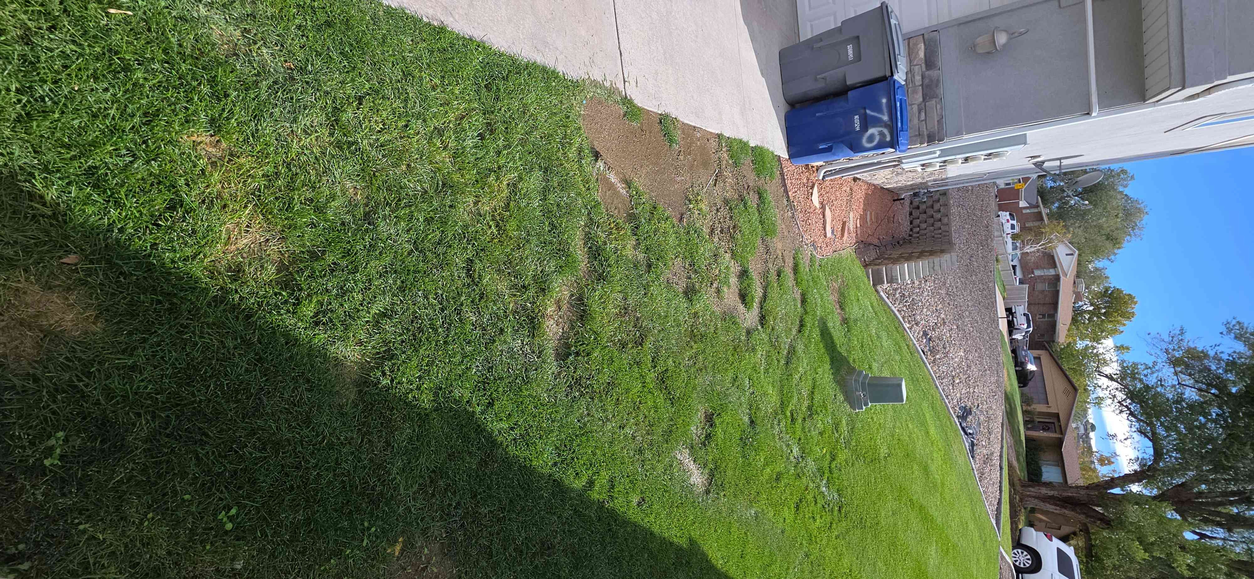 A flooded basement, highlighting the need for basement flood services and basement flood repair. Water damage is visible, emphasizing the urgency of professional intervention to prevent further structural issues and mold growth.