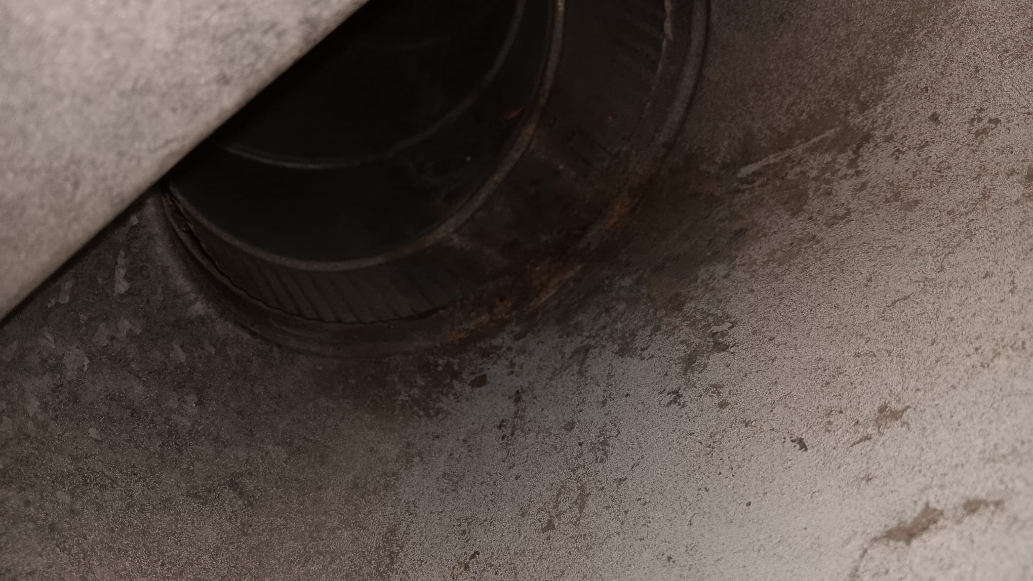 Professional mold remediation services, like those in San Diego and Rockville, are essential for toxic mold removal, ensuring a healthy and safe environment.