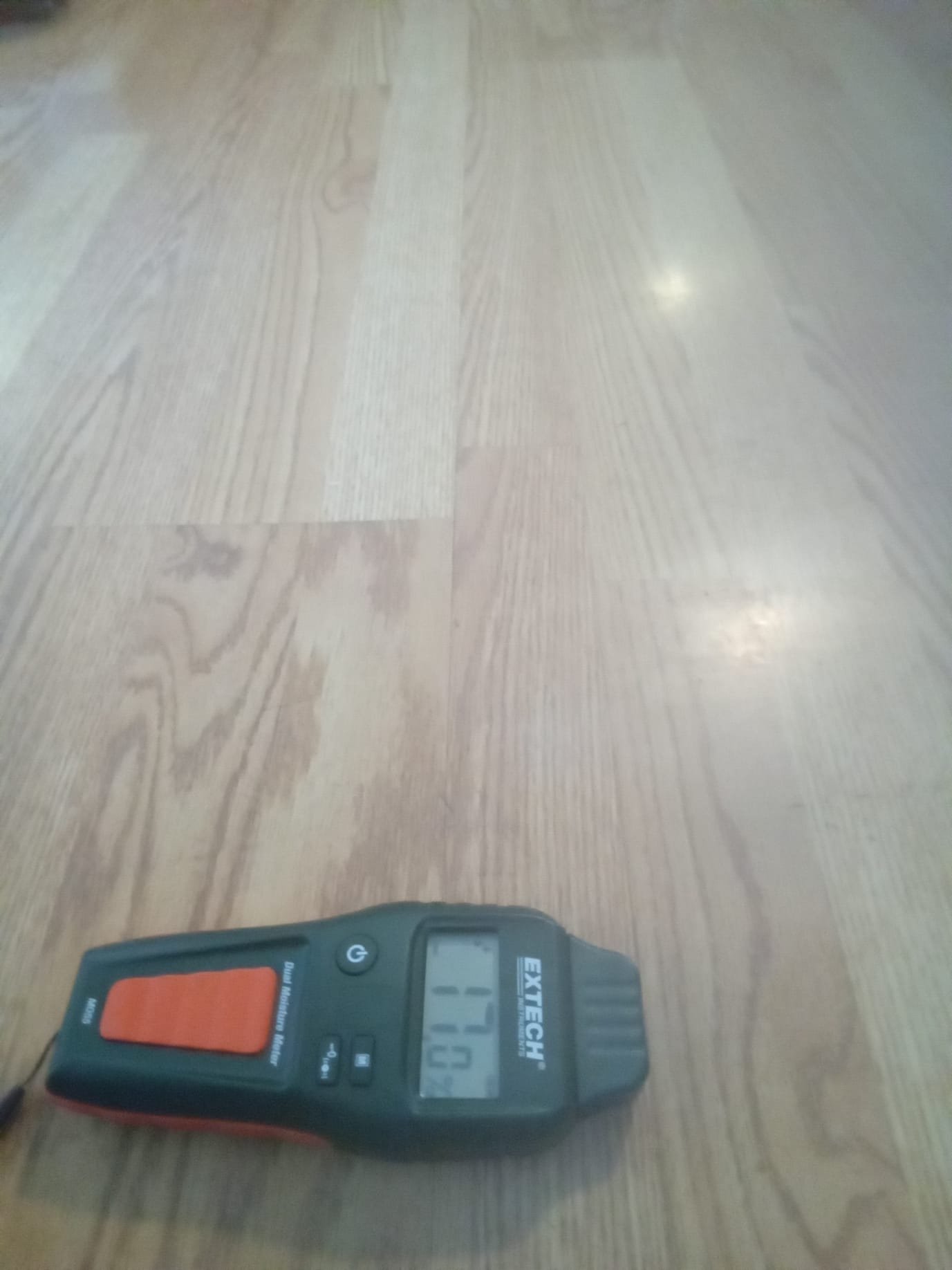 Emergency water damage affecting drywall. Professional remediation services available for insured drywall water damage repair and restoration.