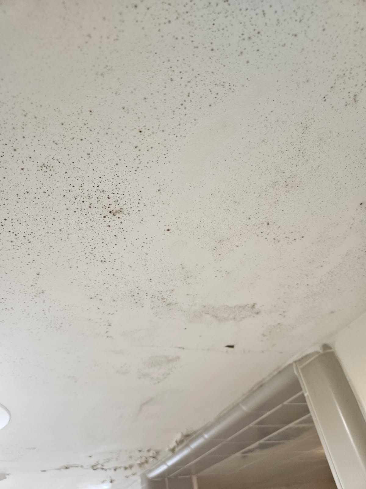 Considering a home water ionizer in Benjamin, Utah? Investing in one might offset rising home water filtration costs and provide peace of mind, potentially reducing the need for insured residential water damage remediation down the line. Clean water starts at home!