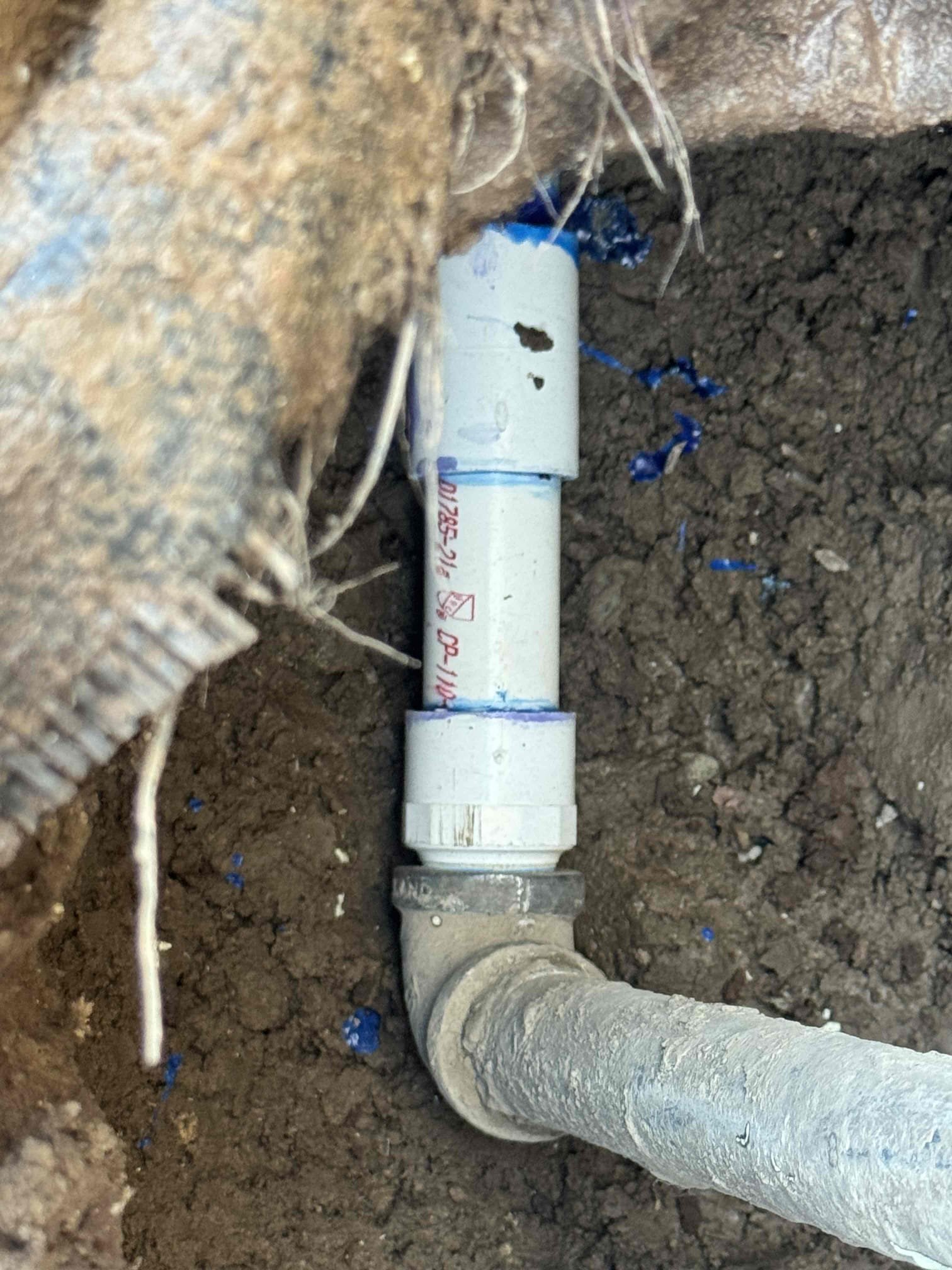 Professional basement ceiling water damage repair service specializing in mold remediation. Addressing water stains and damage to prevent further structural issues and health hazards.