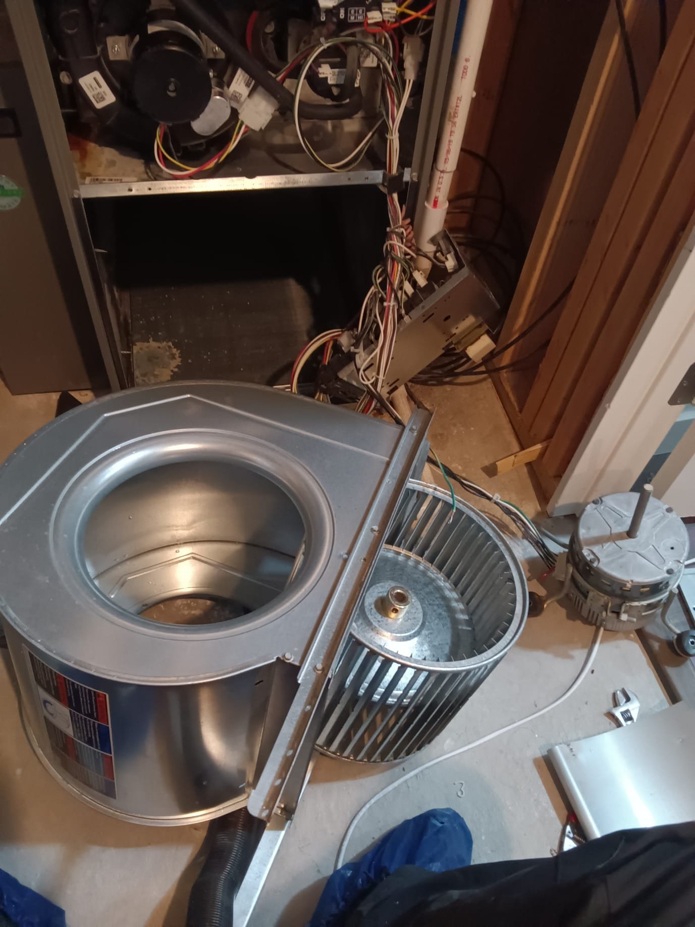 Image of a home air purifier, crucial for combating mold. Concerned about residential mold cleanup cost? An air purifier can help prevent extensive mold growth, a key element in effective mold remediation.