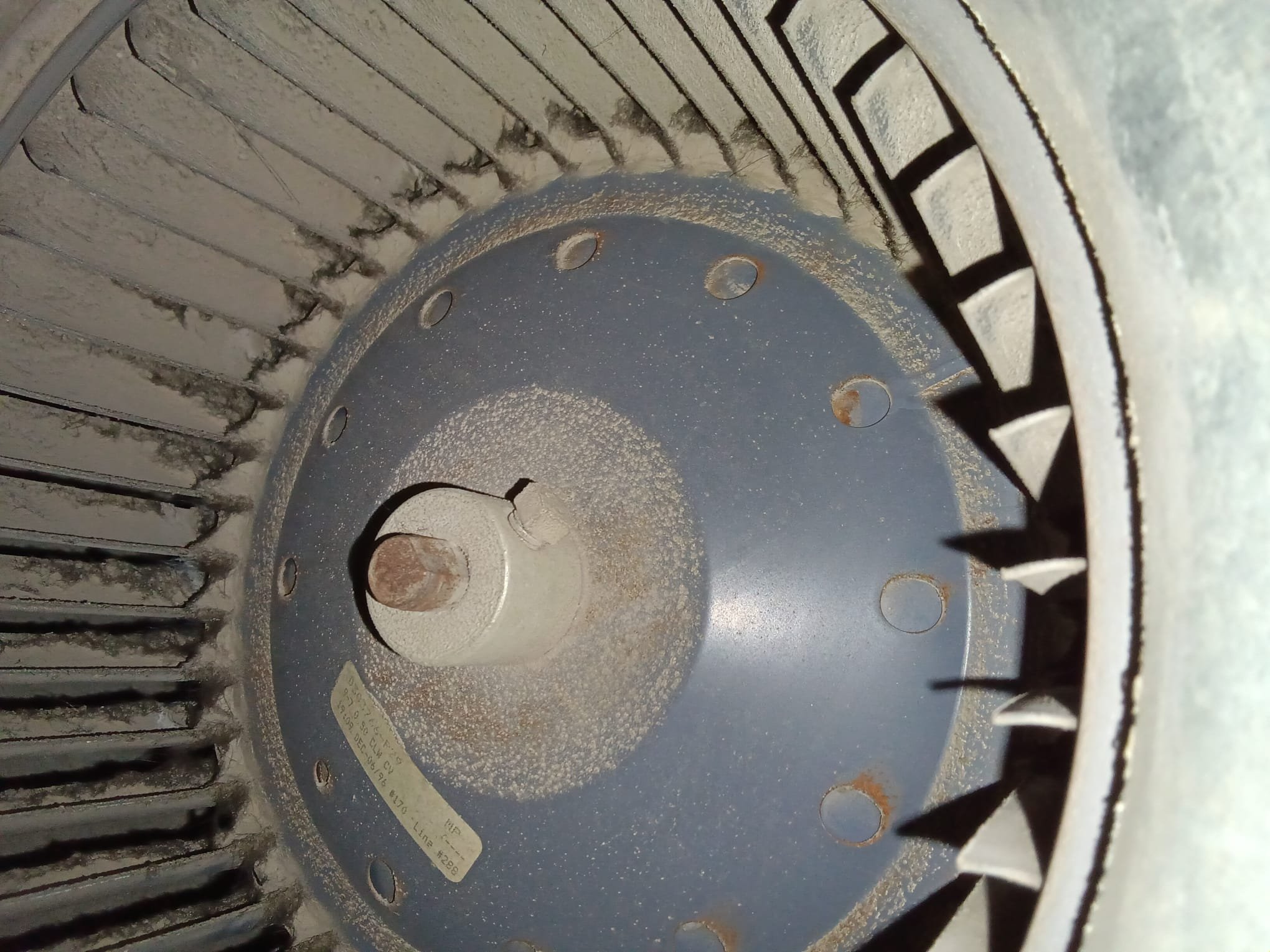 Professional grease removal services combined with commercial storm and disaster odor removal expertise, similar to service 6, ensuring comprehensive cleanup and restoration for businesses after any event. Eliminating odors and grease for a clean and safe environment.