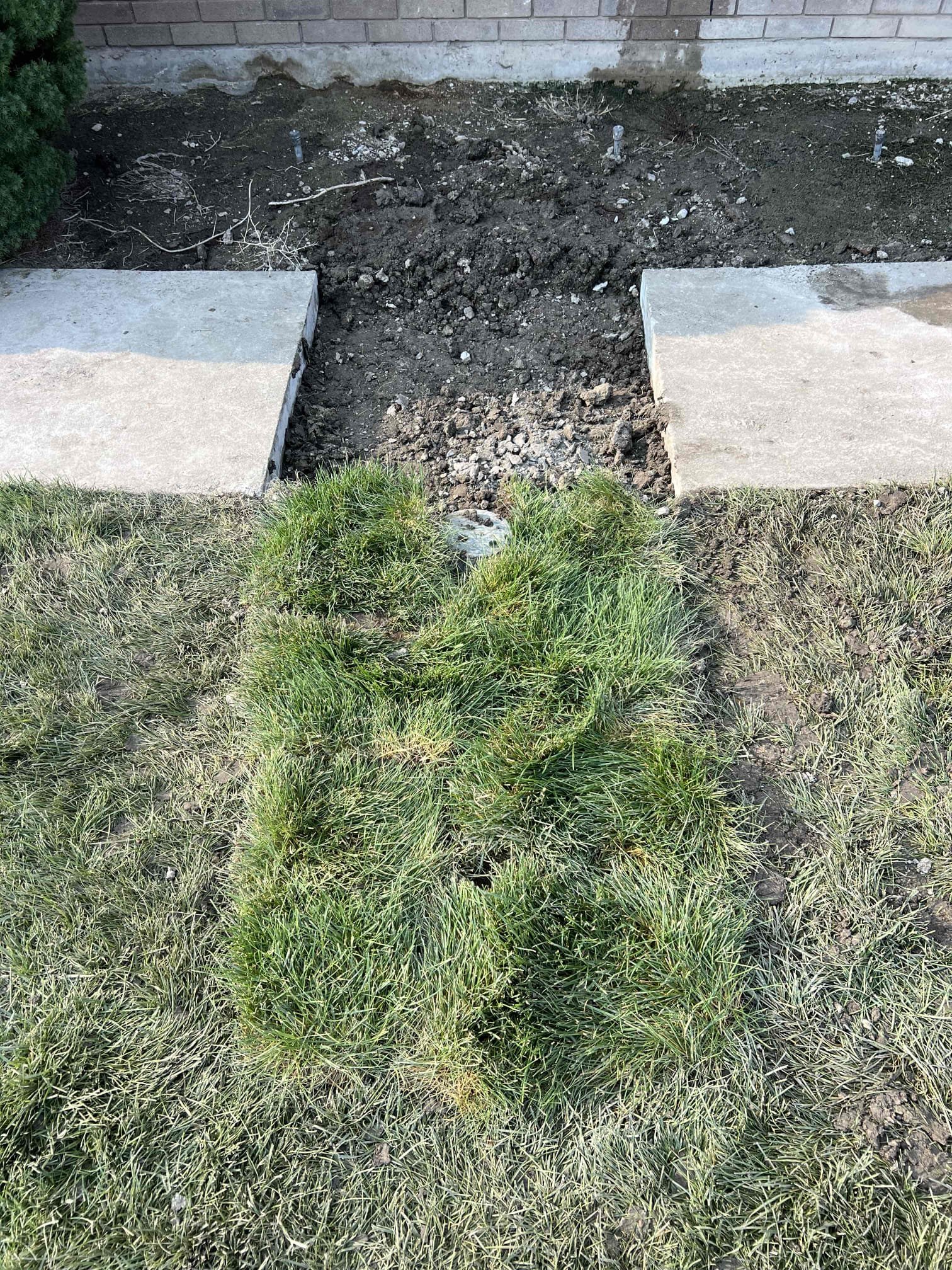 Basement ceiling showing signs of water damage and potential mold growth, indicating the need for professional water damage repair services. Addressing leaks and moisture issues promptly prevents further structural damage and health hazards like mold. Contact us for expert basement ceiling repair and mold remediation.