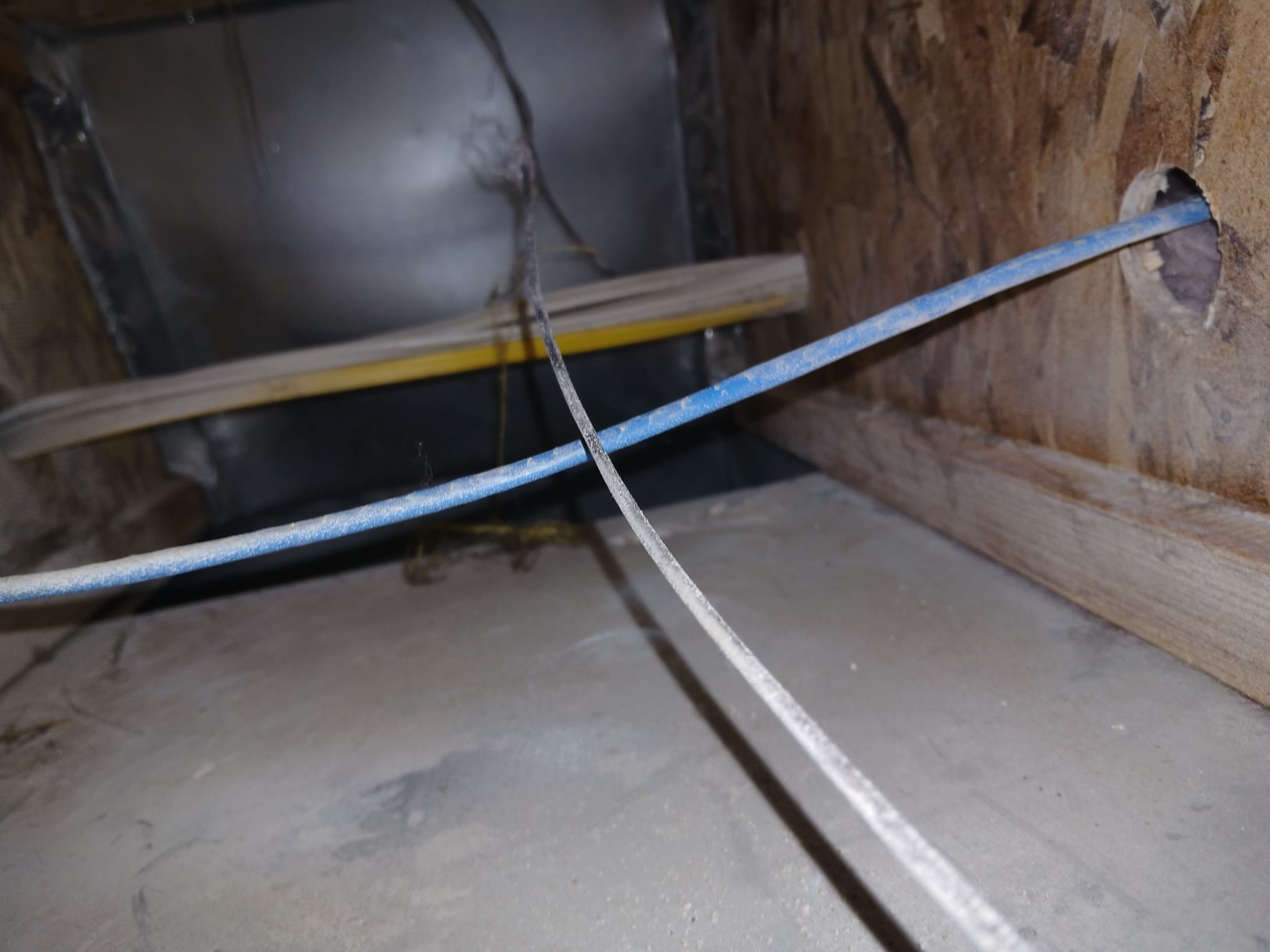 Image depicting commercial mold cleaning services, emphasizing air vent cleaning and emergency mold remediation. Represents local availability for businesses needing immediate and thorough mold removal.