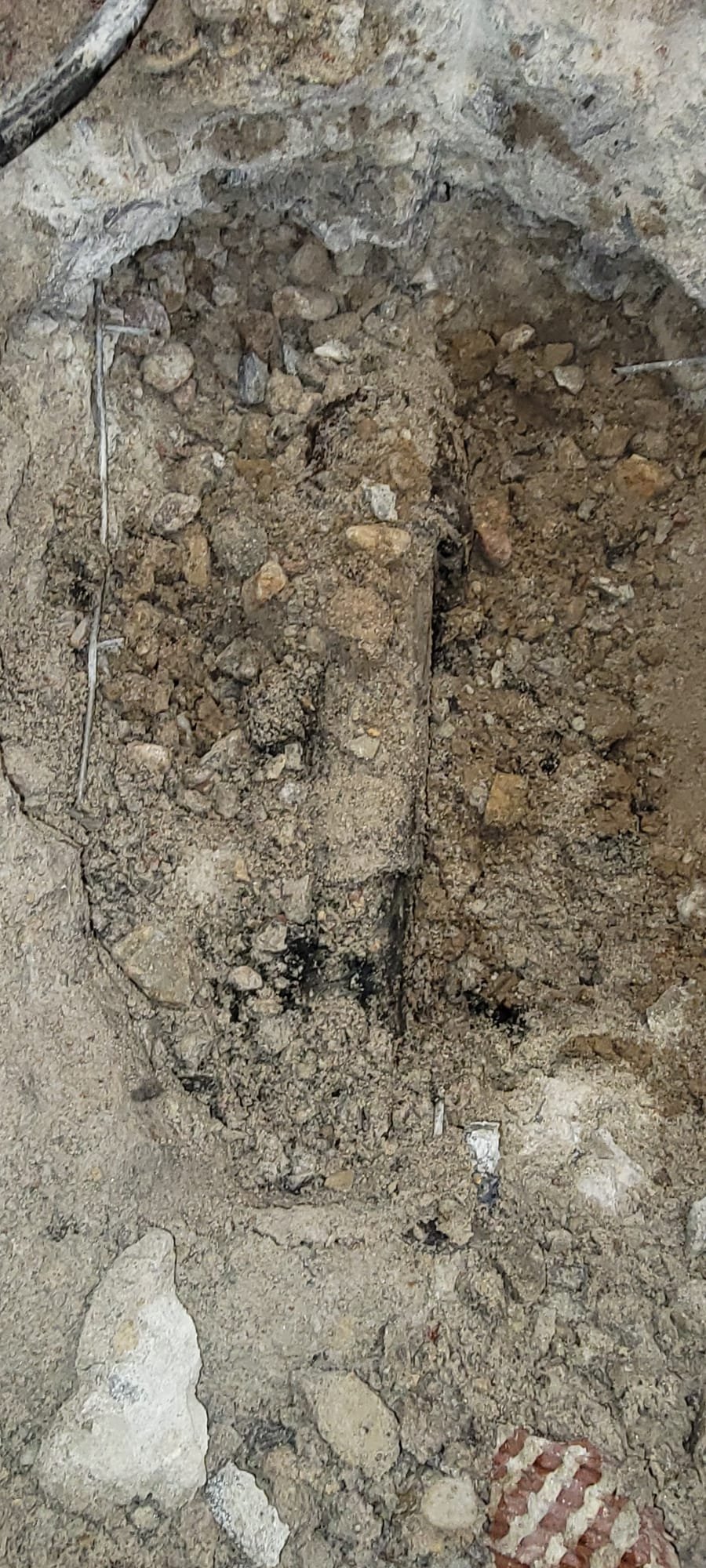 Basement water damage from a toilet leak highlights potential plumbing problems. Like a leaky outdoor water spigot, it may indicate larger issues within the septic system, possibly requiring septic drain cleaner or professional plumbing assistance.