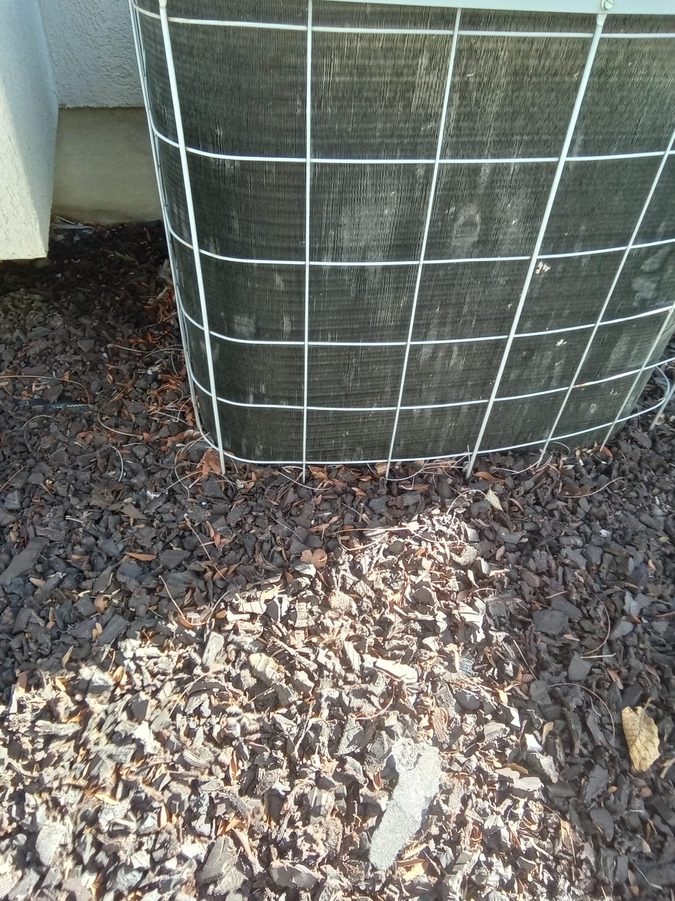 Image depicting disaster cleanup services: A professional cleaning crew efficiently tackles a clogged garbage disposal sink, showcasing their expertise in handling residential plumbing emergencies and offering comprehensive disaster cleaning solutions.