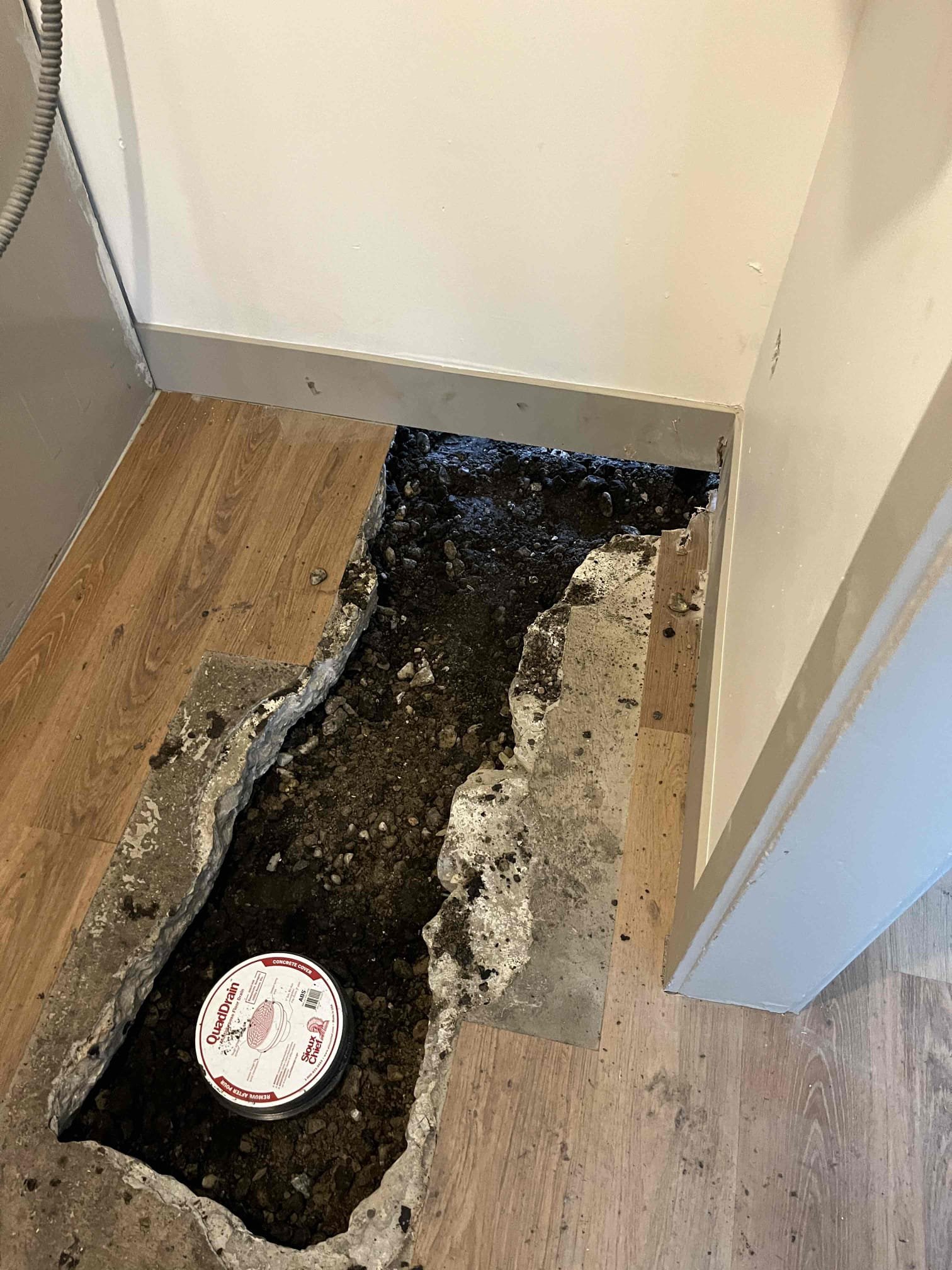 Image depicting a home mold assessment, highlighting the importance of proper protection like masks for mold abatement and the need for professional basement mold damage services to ensure a healthy living environment.