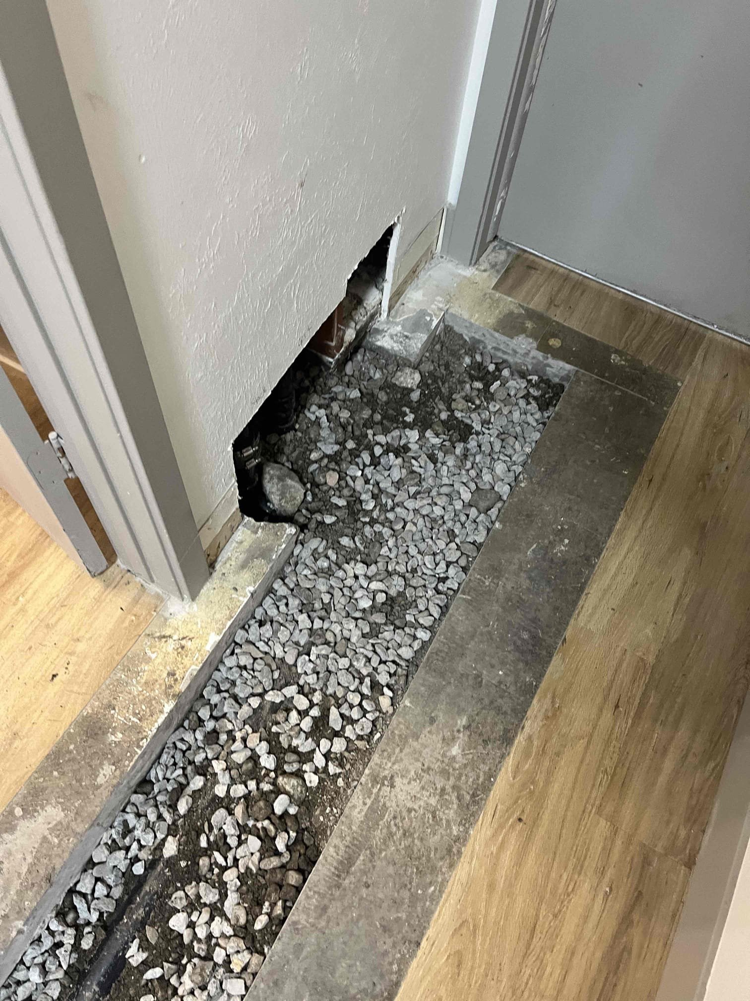 Image depicting mold and restoration, possibly related to attic mold damage restoration or mold damage diagnosis. Could show mold growth, water damage, or the process of cleaning and repairing affected areas. Focuses on the importance of identifying and addressing mold problems for a healthy home.