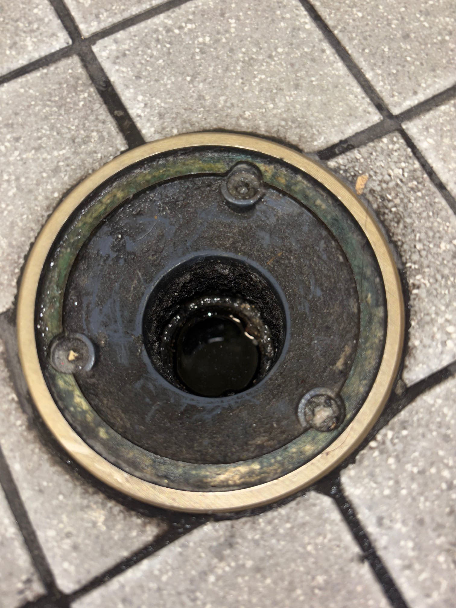 Benjamin, Utah apartment with mold on air vents? Emergency residential mold odor removal needed after hours? Local specialists eliminate mold smells fast. Call now for a free inspection in Benjamin!