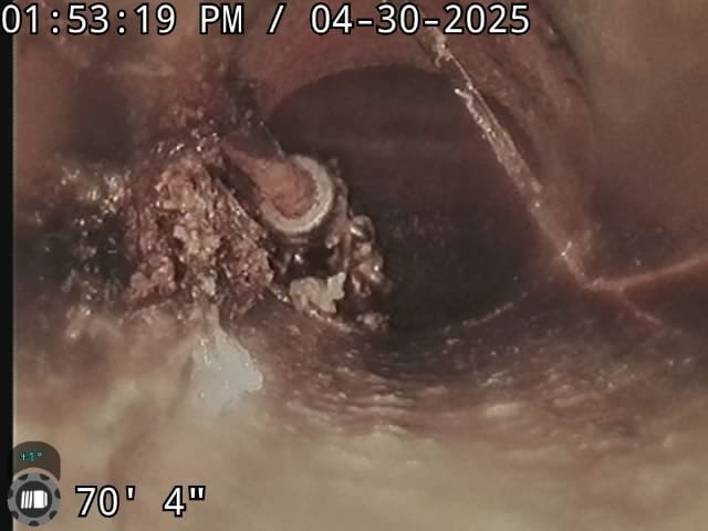 Image depicts basement sewage backup recovery, highlighting aspects of installation, maintenance, and associated pricing for comprehensive sewage cleanup and restoration services.