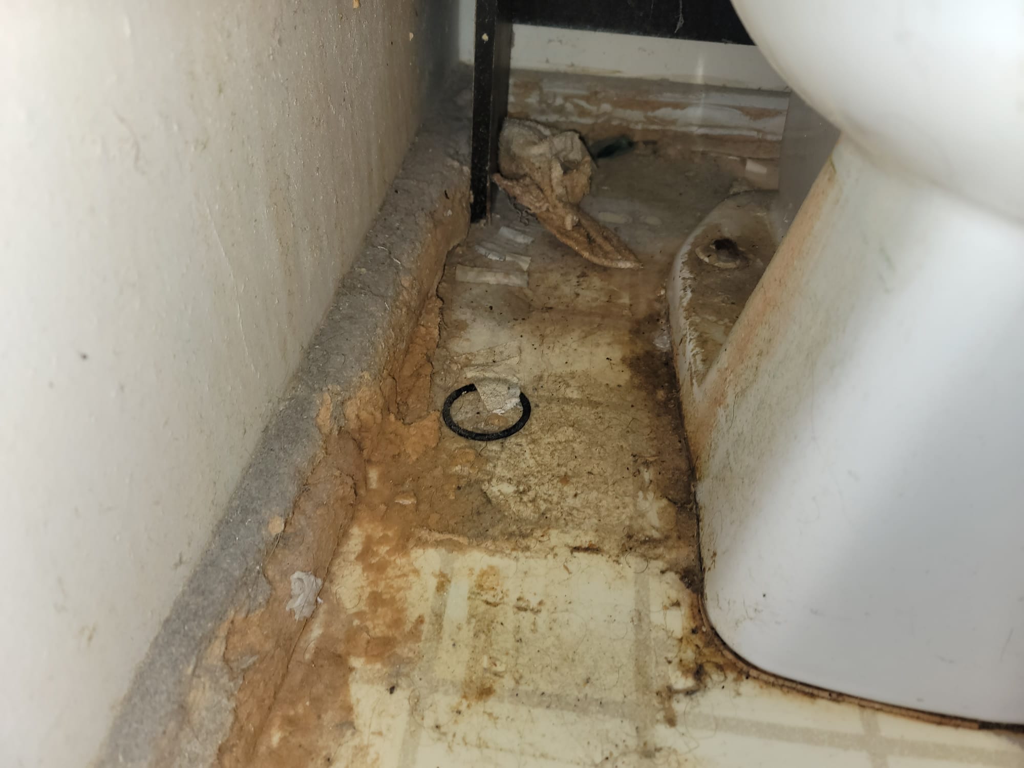 Image showing toilet supplies and tools used for unclogging a toilet main line, addressing potential plumbing issues like blockages and sewer gas causing a rotten egg smell. Learn how to maintain your toilet and plumbing system.
