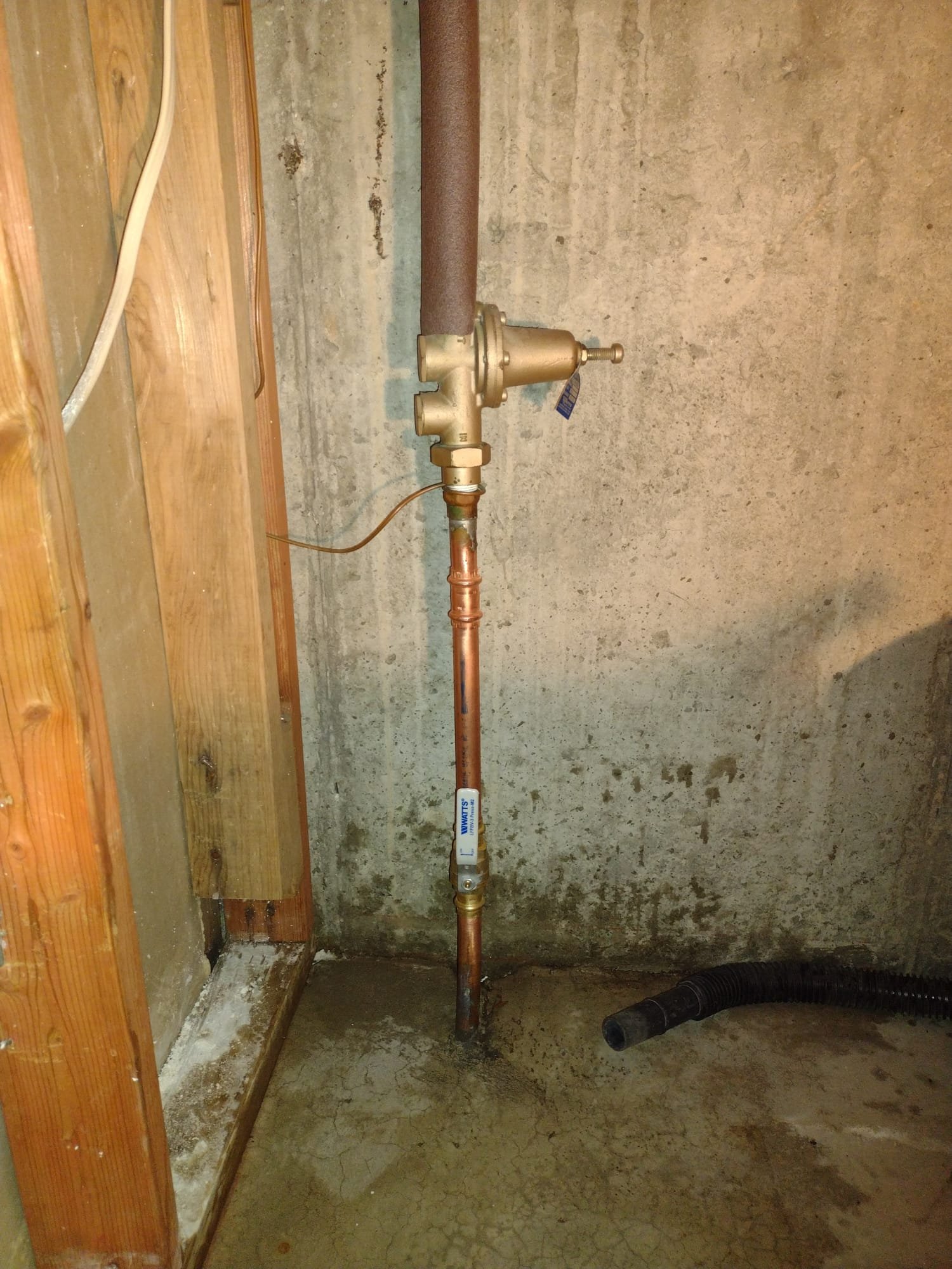 Image depicting mold growth on a ceiling, a common sign of water damage. This visual aid highlights the importance of contacting ceiling water damage repair experts to address potential leaks and prevent further mold development. Identifying these signs of water damage early is crucial for effective and affordable repairs.