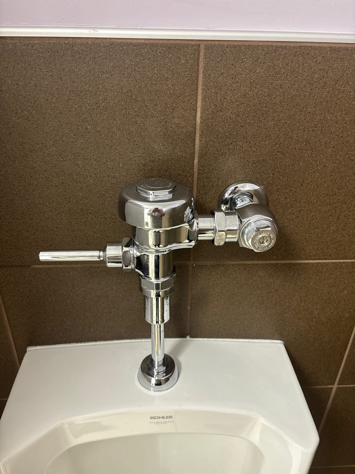 Mold in a water softener, potentially caused by similar conditions that lead to bathroom mold. Addressing water softener mold is crucial, just like bathroom mold remediation. Consider home remedies for unclogging bathroom sinks to prevent moisture buildup that encourages mold growth.