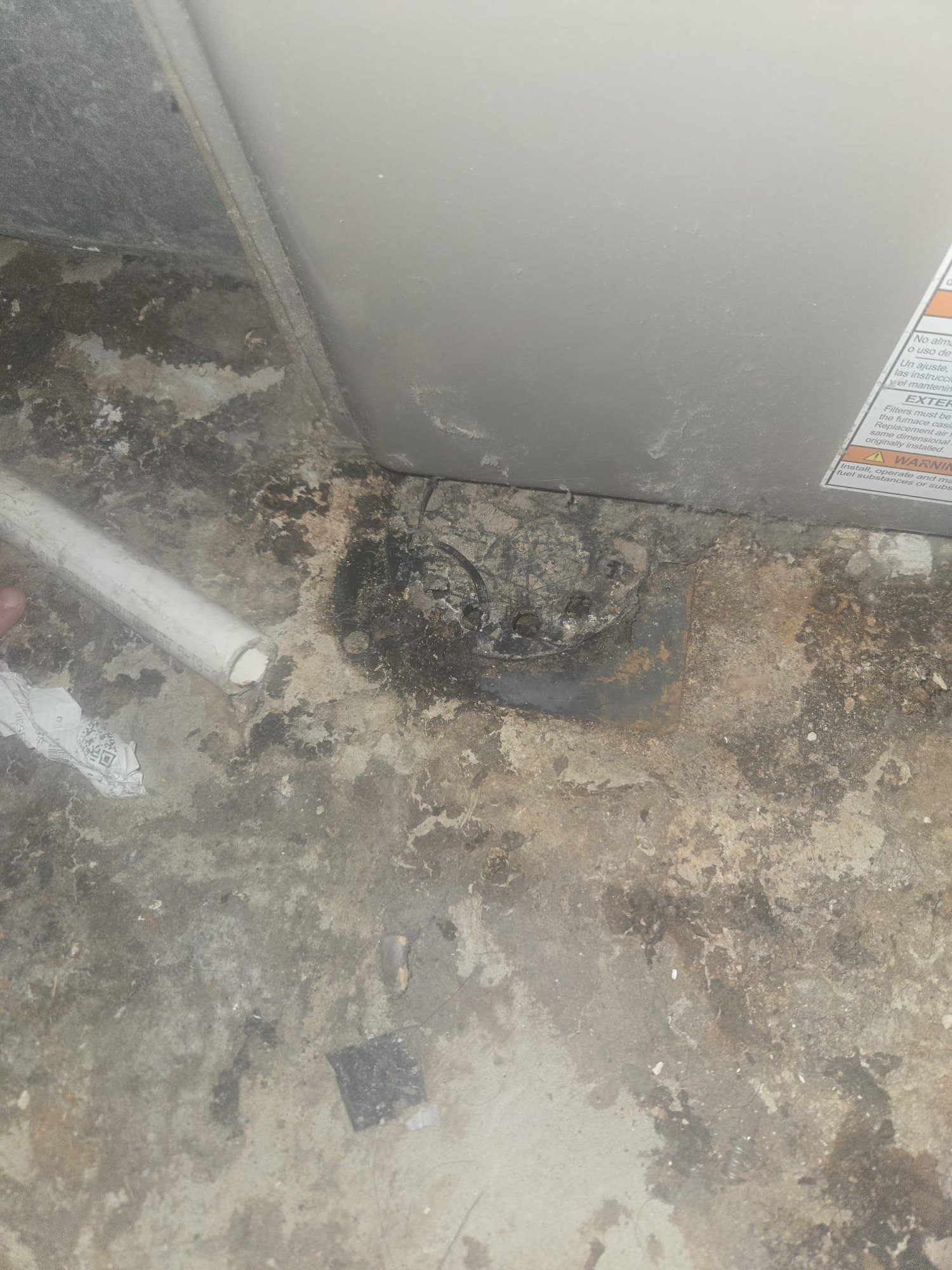 Image depicting basement flooding clean up service. Professionals removing water and debris, highlighting the importance of prompt action and offering solutions. Get a free basement flood cleaning estimate today.