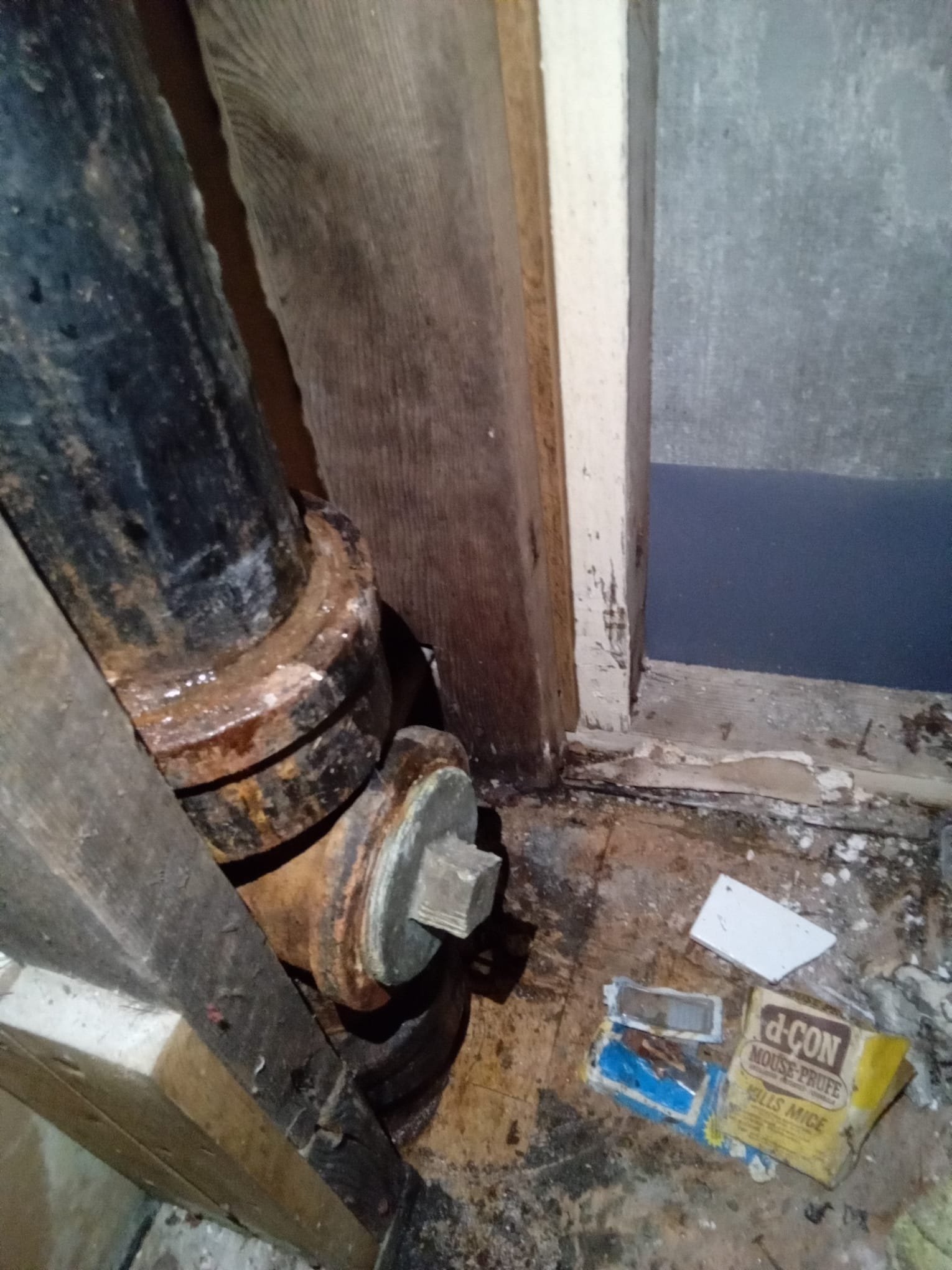 Las Vegas plumber inspecting sewer pipes. Concerned about sewer pipe bursting cost and the expense of a sewer line scope to assess damage.