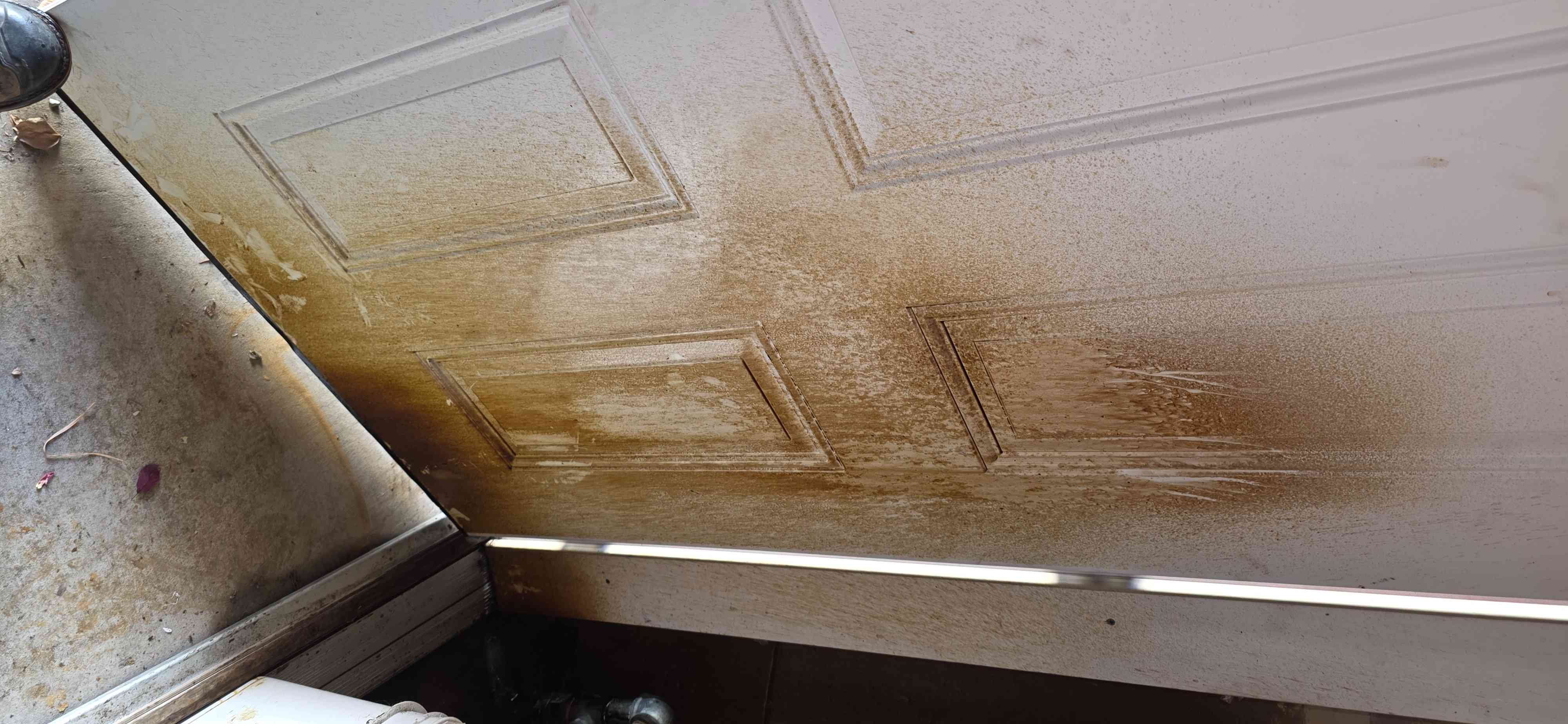 Image depicts mildew cleaner, relevant for sewage water and water damage cleanup services, highlighting its effectiveness in addressing mold and mildew issues after water-related incidents.