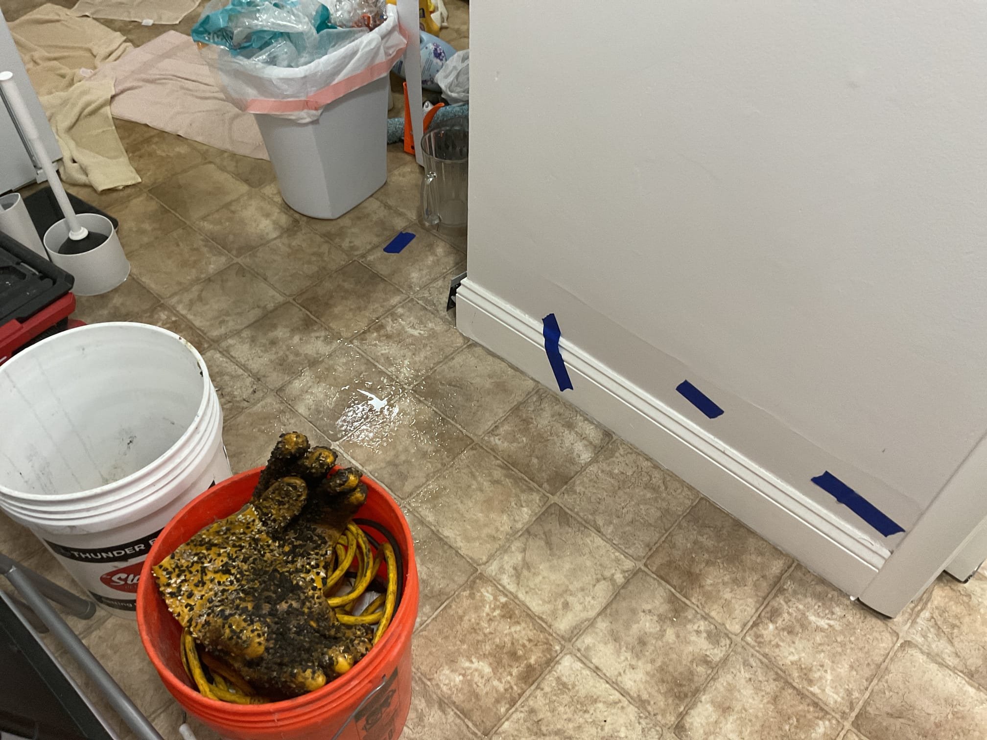 Worried about the cost of plumbing services? This image explores whether Roto-Rooter's pricing aligns with effective water damage solutions and compares the value to investing in preventative measures like a whole-house live water filter system for long-term protection.