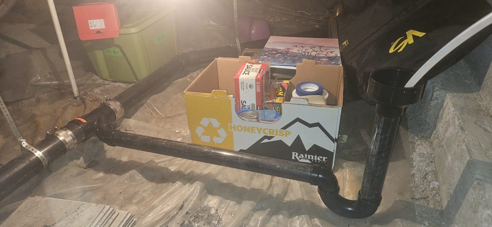 Comparing Honeywell T9 and Ecobee smart thermostats for home climate control. An image highlighting the features and benefits of each system in relation to drywall water damage recovery estimate, showcasing cost-effectiveness and smart home integration.